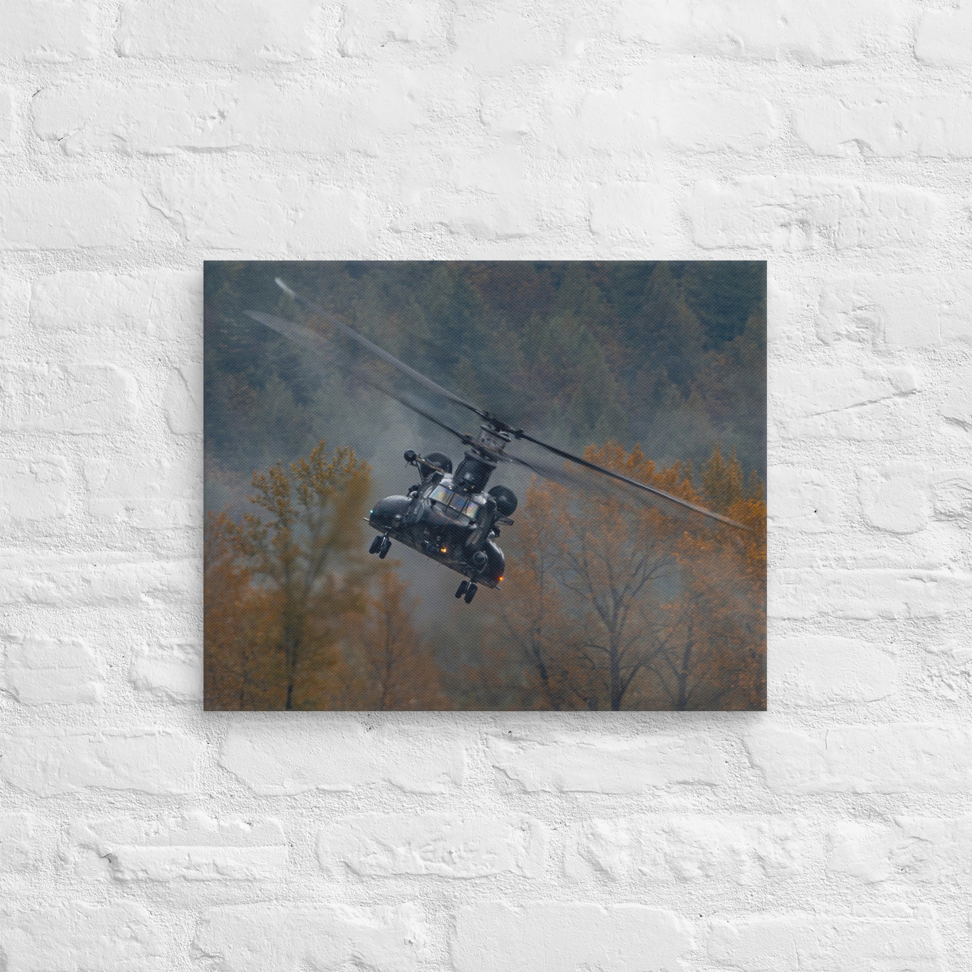canvas-(in)-16x20-front-671bfa2e6d5a5.jpg