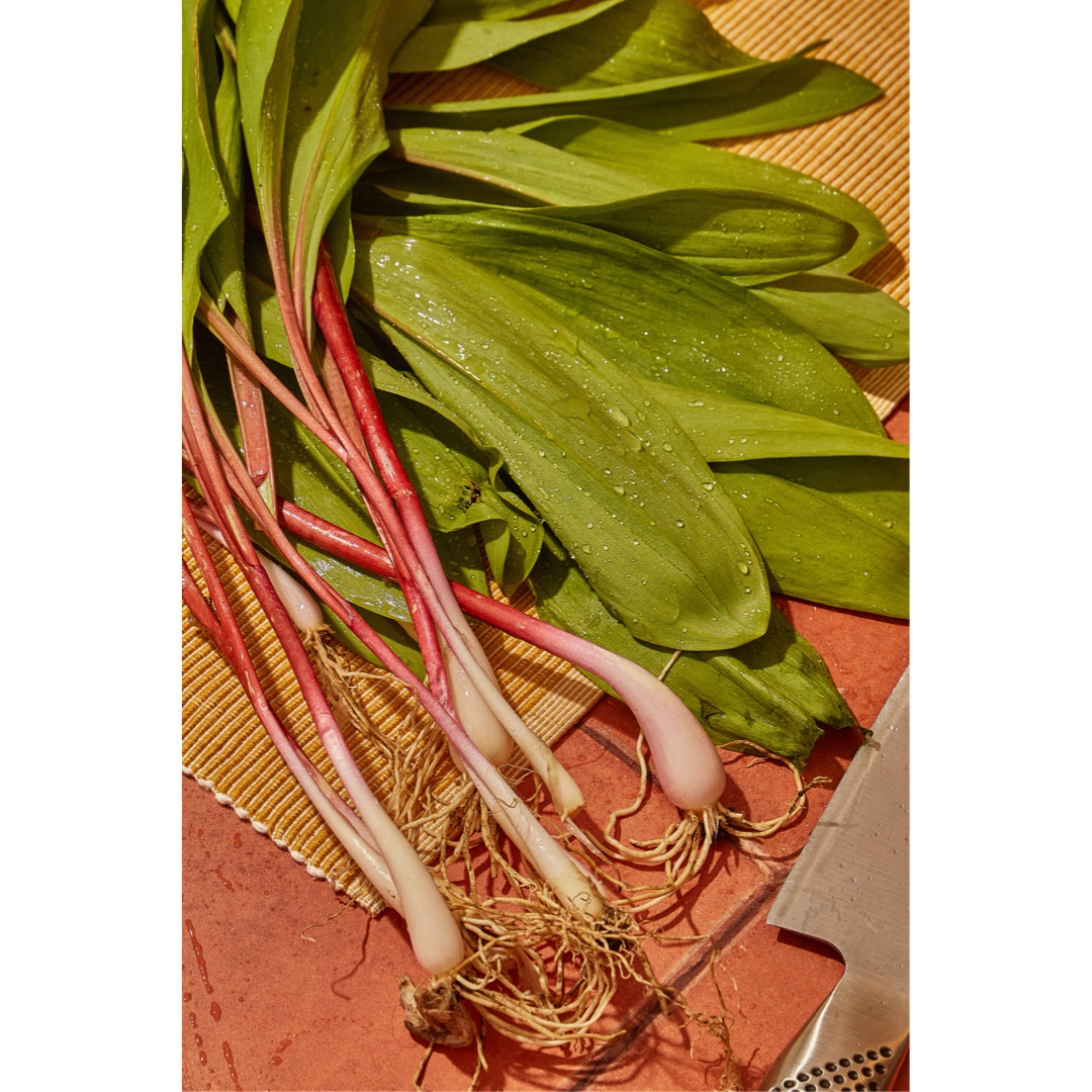Just in case you haven&rsquo;t heard, it&rsquo;s ramp season in Chicago. This is not a drill! #pageandplate #foodphotographyandstyling #editorialphotography #chicagofoodphotographer #chicagofoodphotographer #chicagofoodstylist