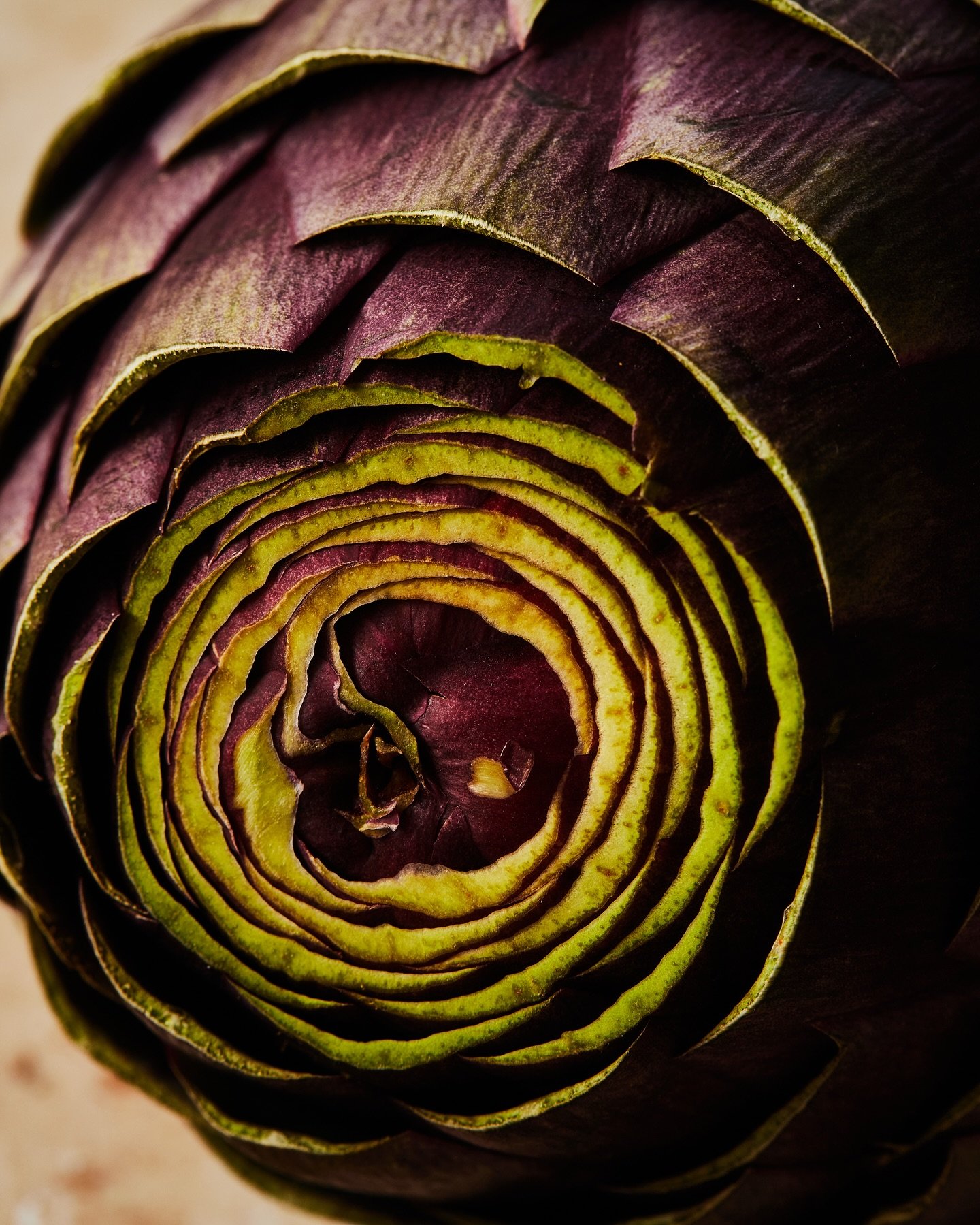 Seasonal produce is back, and so are the days of me fawning over artichokes. There&rsquo;s something about the way their petals  catch the light that always feels a little bit magical. Save this if you love moody spring shoots as much as I do, and le