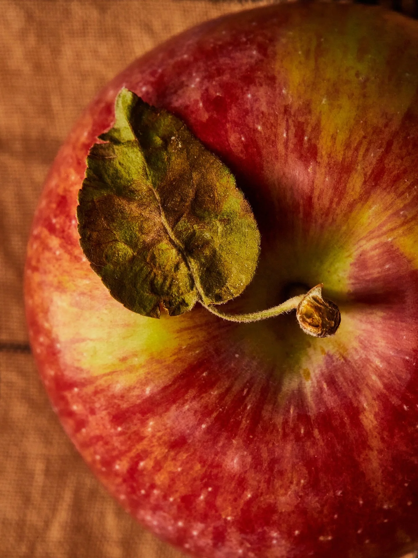 Leaning into these cool fall days with fresh-from-the-orchard apples and moody lighting. #chicagofoodphotographer #editorialfood #seasonalproduce #foodphotographyandstyling #captureone #bombesquad #foodphotographerlife #apples