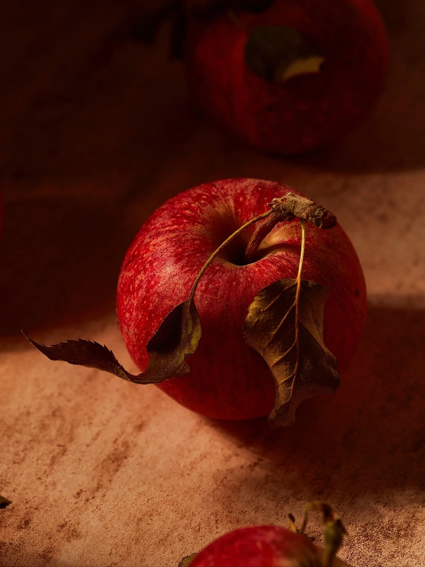 If you take a food photographer to the fall farmers&rsquo; market, she&rsquo;s going to want to take some produce home with her to shoot... #chicagofoodphotographer #editorialfood #seasonalproduce #foodphotographyandstyling #captureone #bombesquad #f