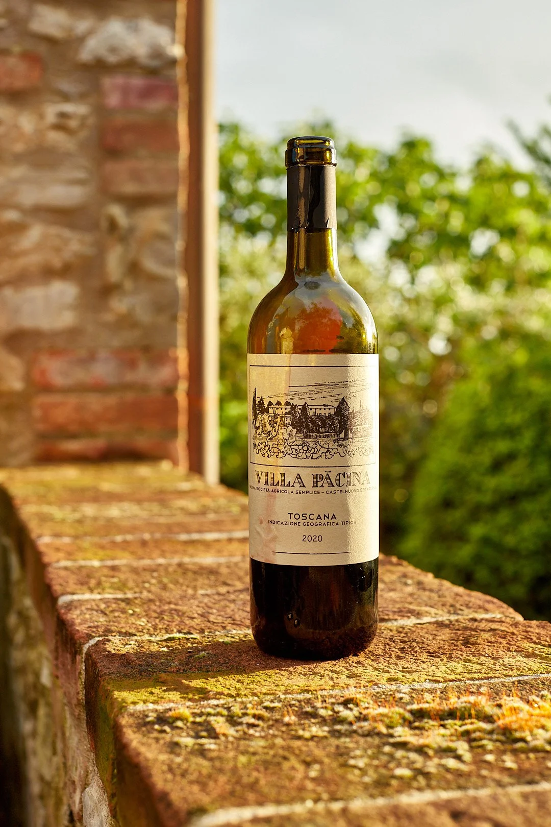 A bottle of Villa Pacina Toscana 2020 red wine sitting on a mossy brick wall outdoors with green trees in the background.