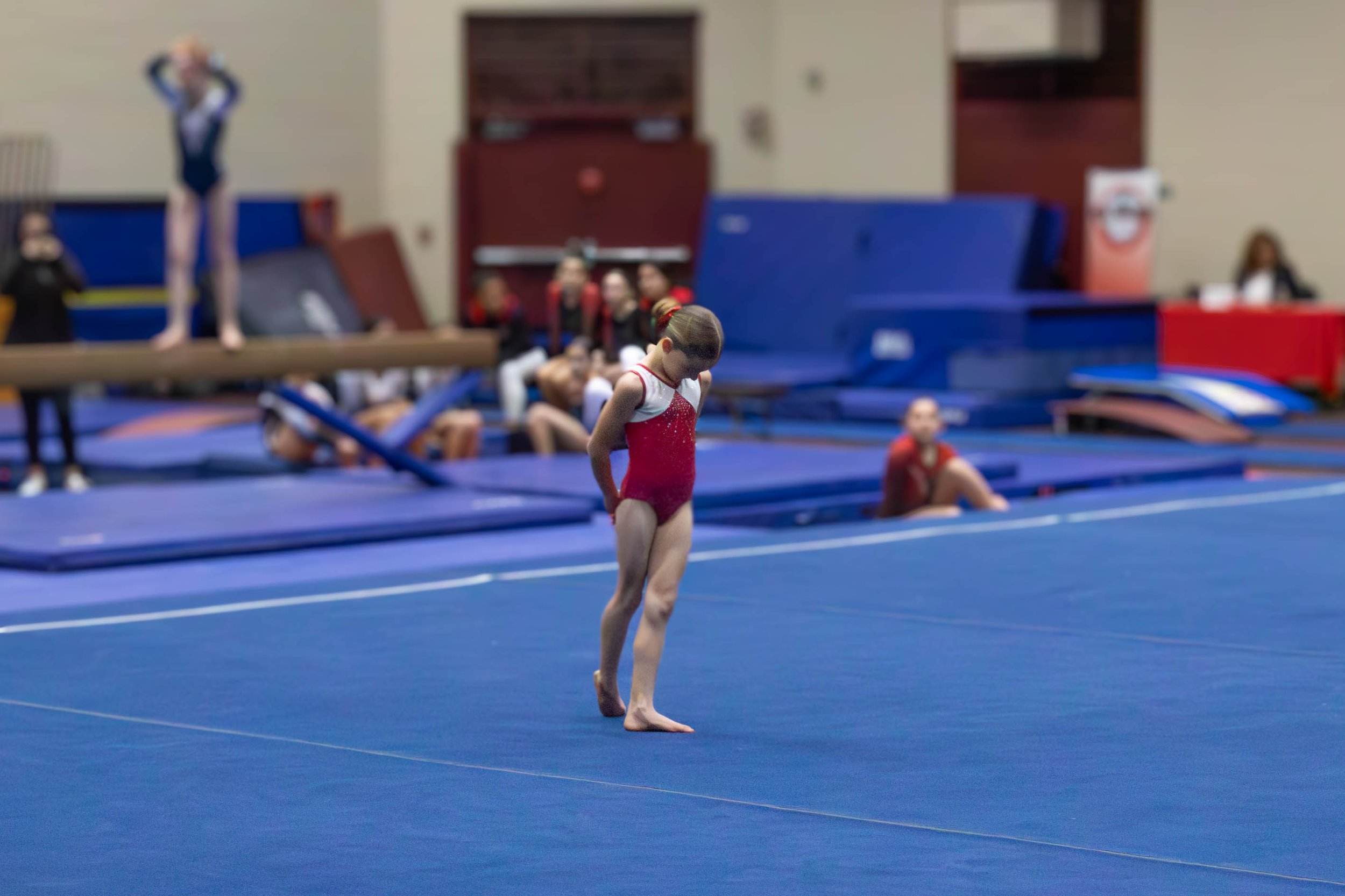 Gymnastics Meet