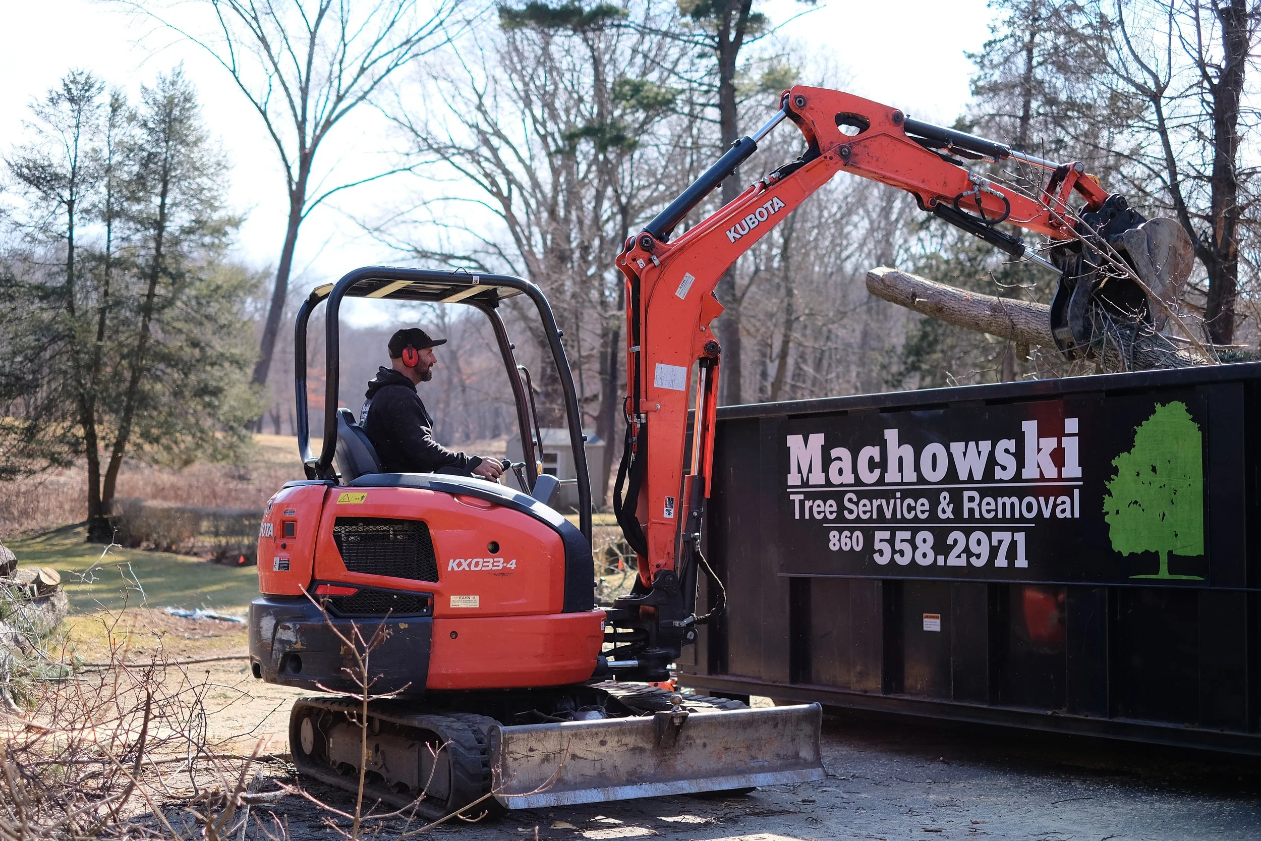 Logo Machowski Tree Removal Branch And Stump Removing New Britain Meriden Berlin Connecticut CT.JPG