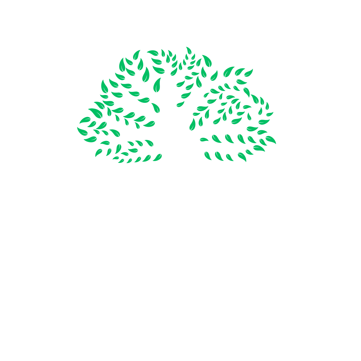 Machowski Tree Service &amp; Removal