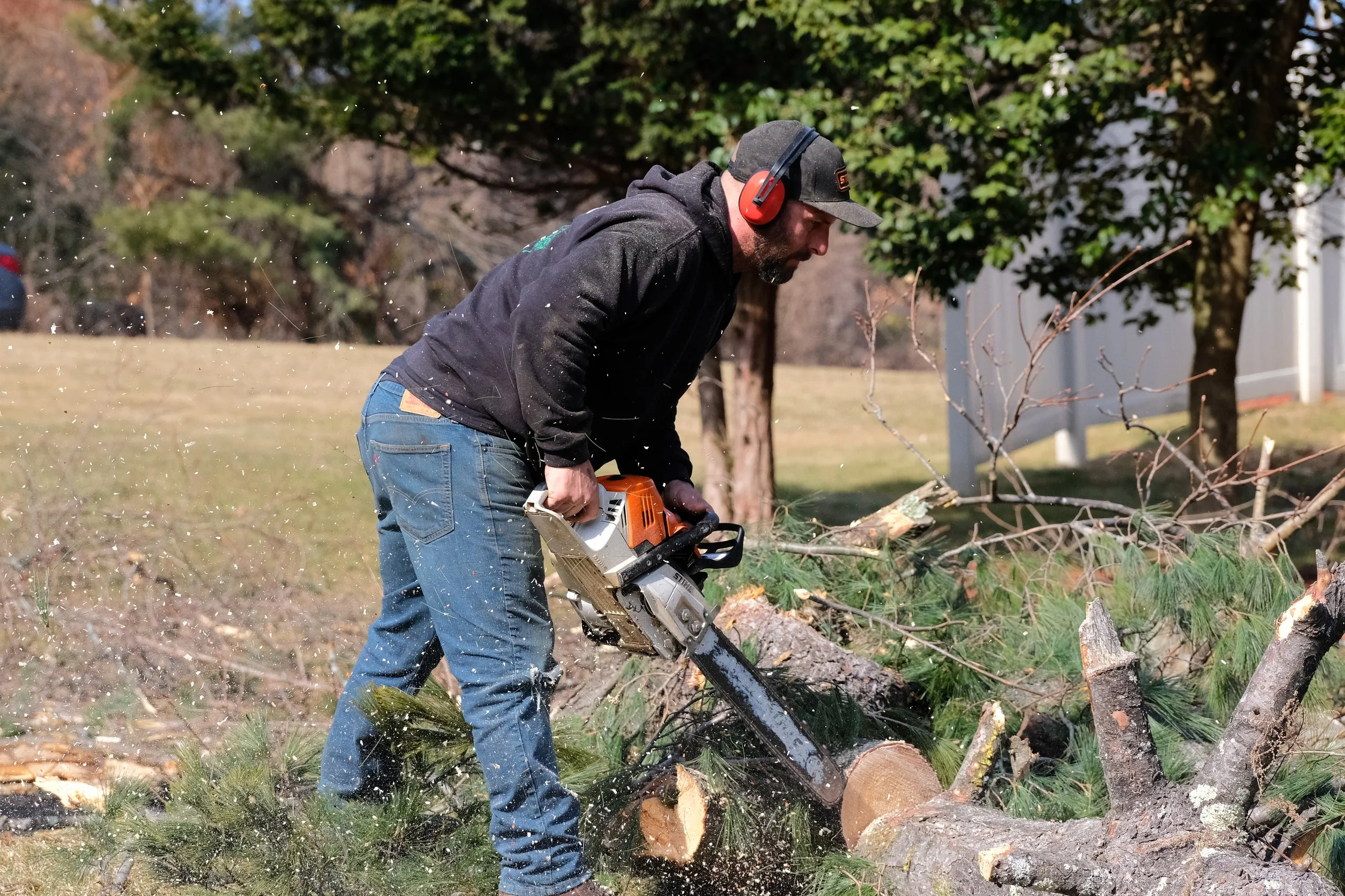Machowski Tree Removal Branch And Stump Remving New Britain Connecticut. Berlin.JPG