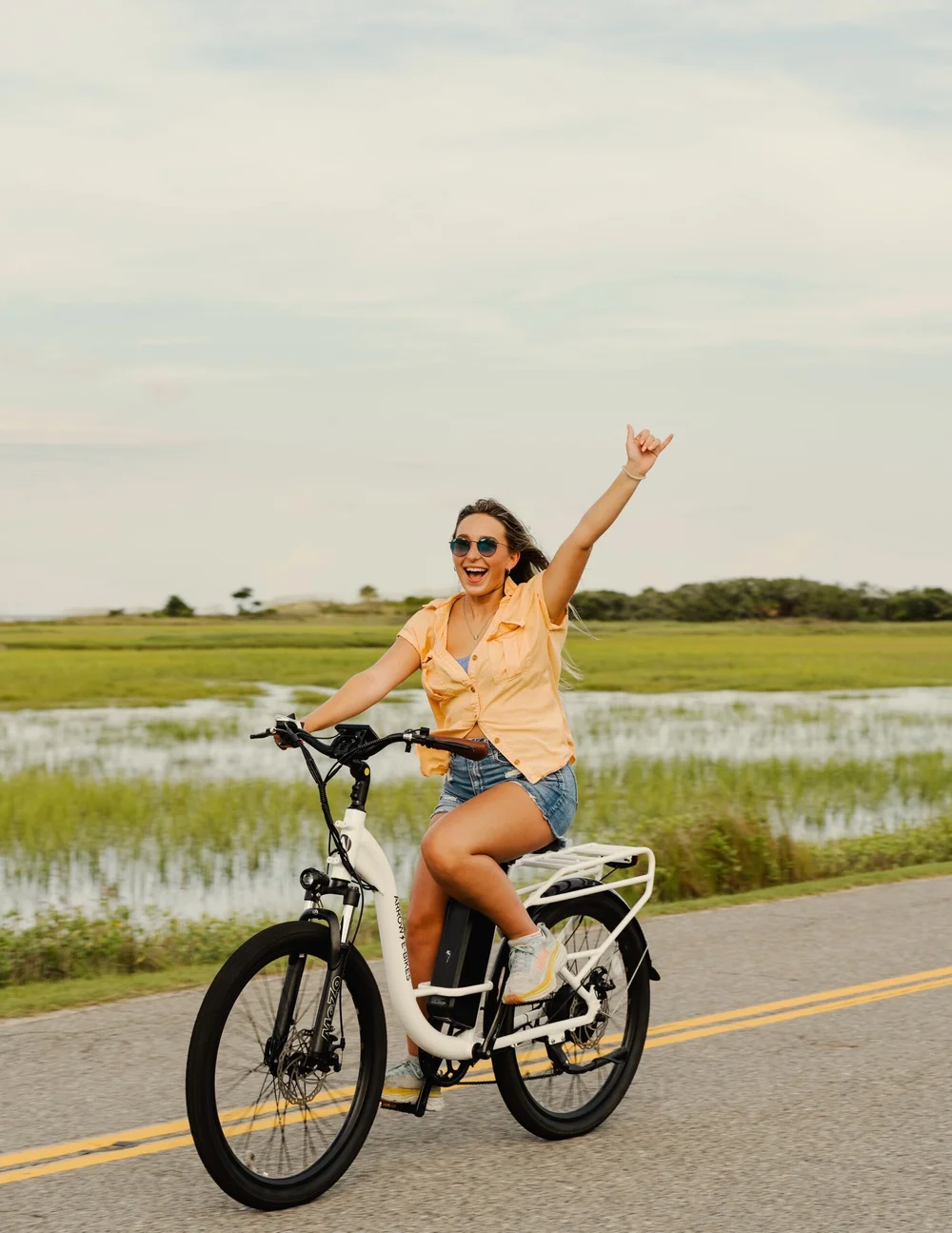 Electric bike arrow 2025