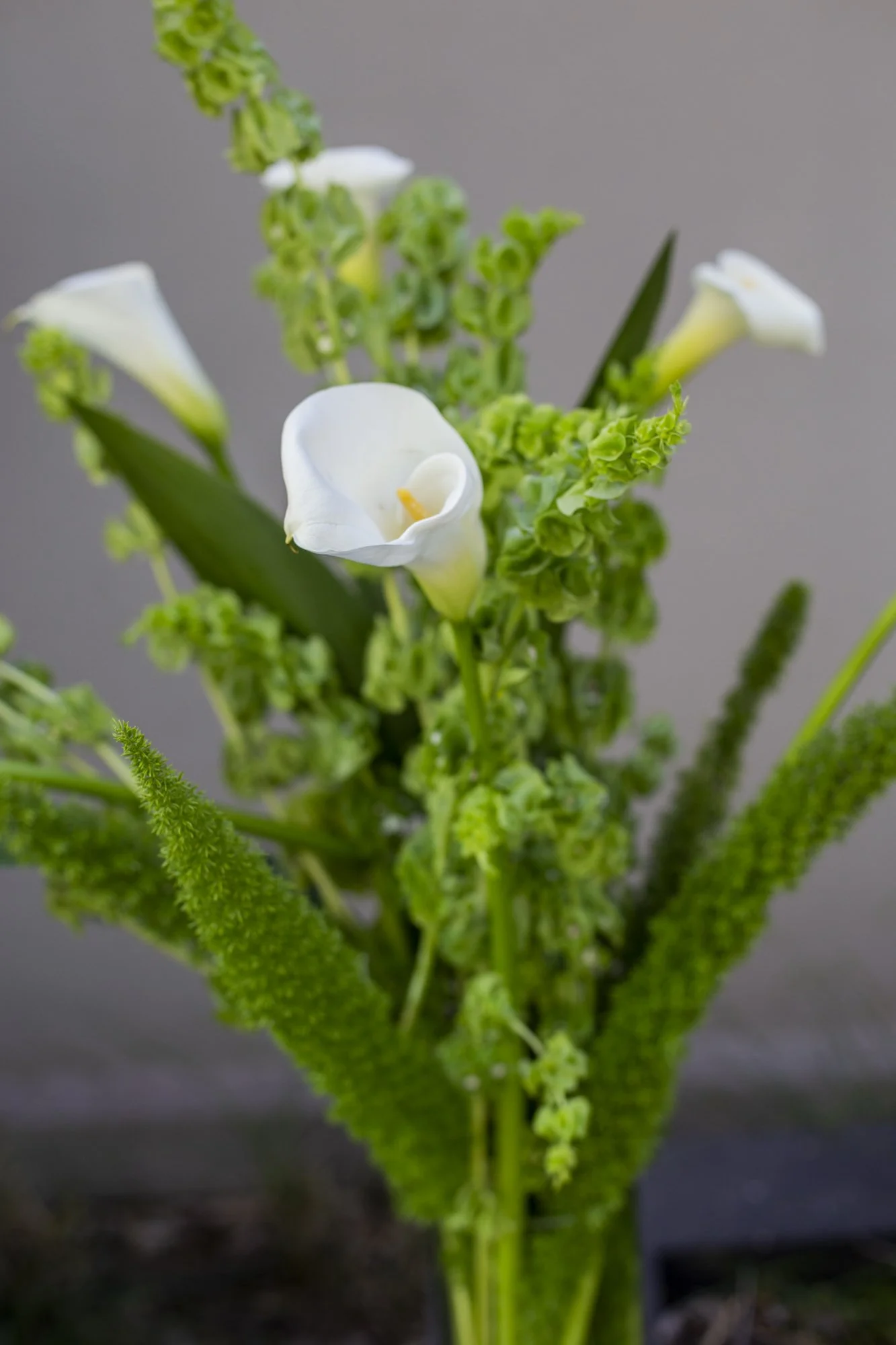 11.10_flores-197.jpg