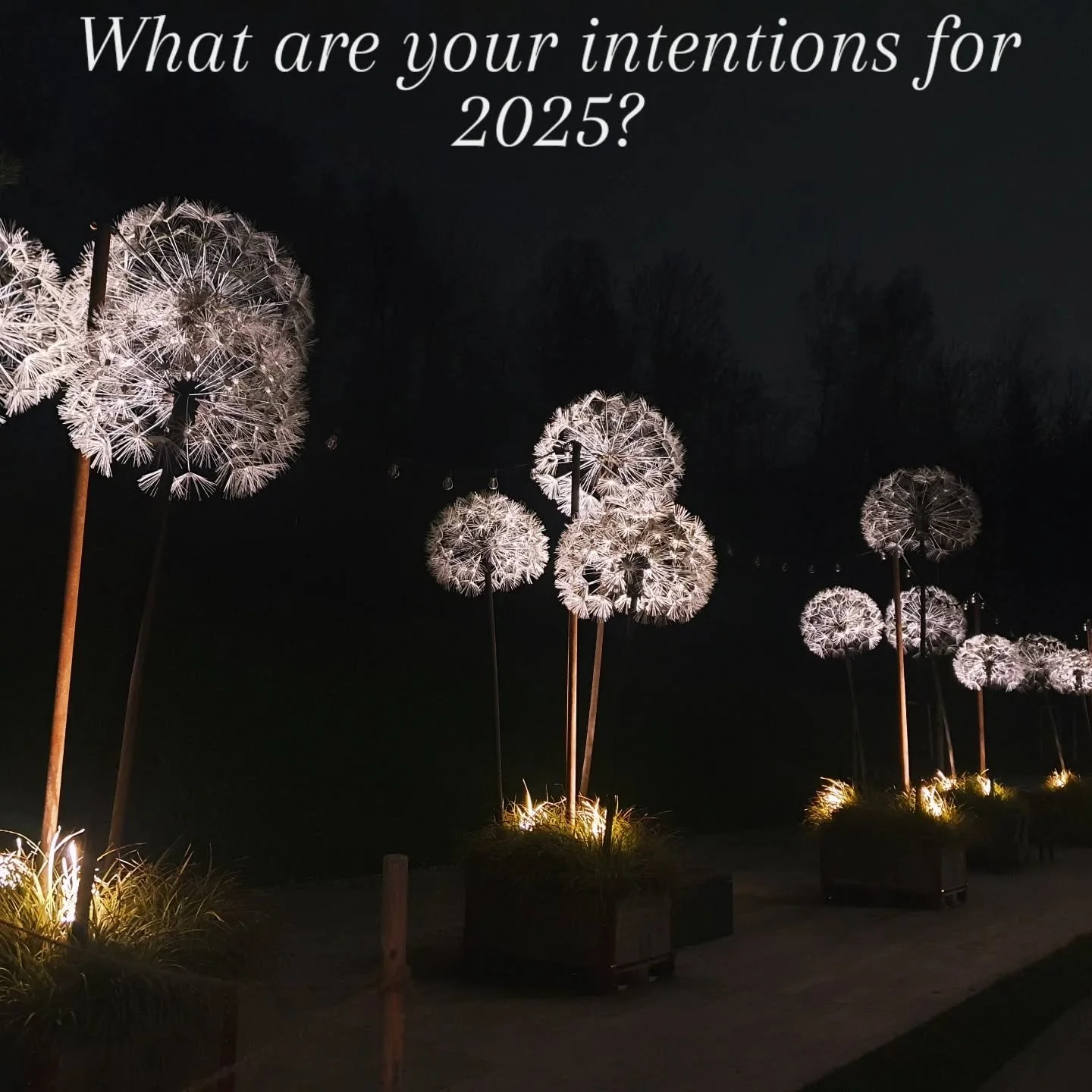 It's time to start thinking about what you want in 2025 🌟 
.
.
What areas of your life need some attention?  What values would you like to bring to these areas of your life?  Is it in your relationships or your work life?  Maybe you need to focus mo