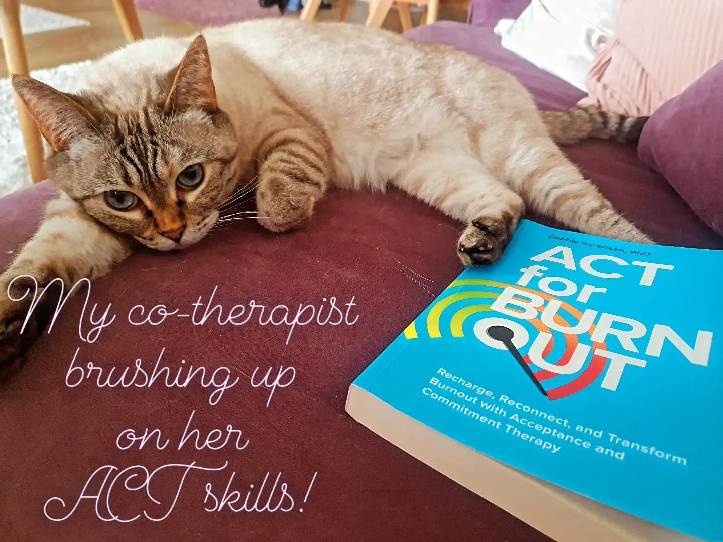 📖 a great book -ACT for Burnout -for anyone struggling with burnout or stress.  It gives a lot of helpful information about what burnout is and how is does not only refer to those in busy jobs but also busy parents or carers, sports people or those 