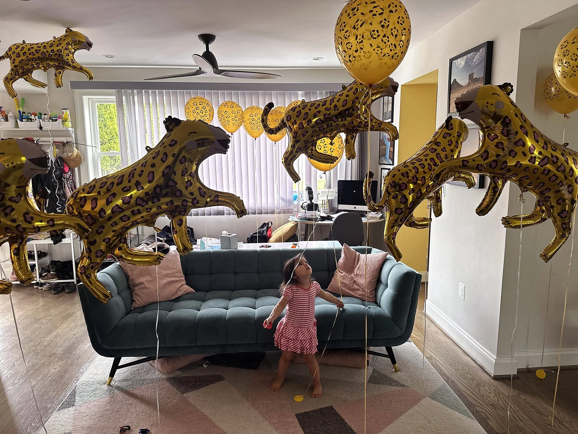 (photo by Sanwaree Robinson) Washington, D.C., April 2022: A two-year-old looks up at the cheetah themed decorations for her older brother's birthday celebration.