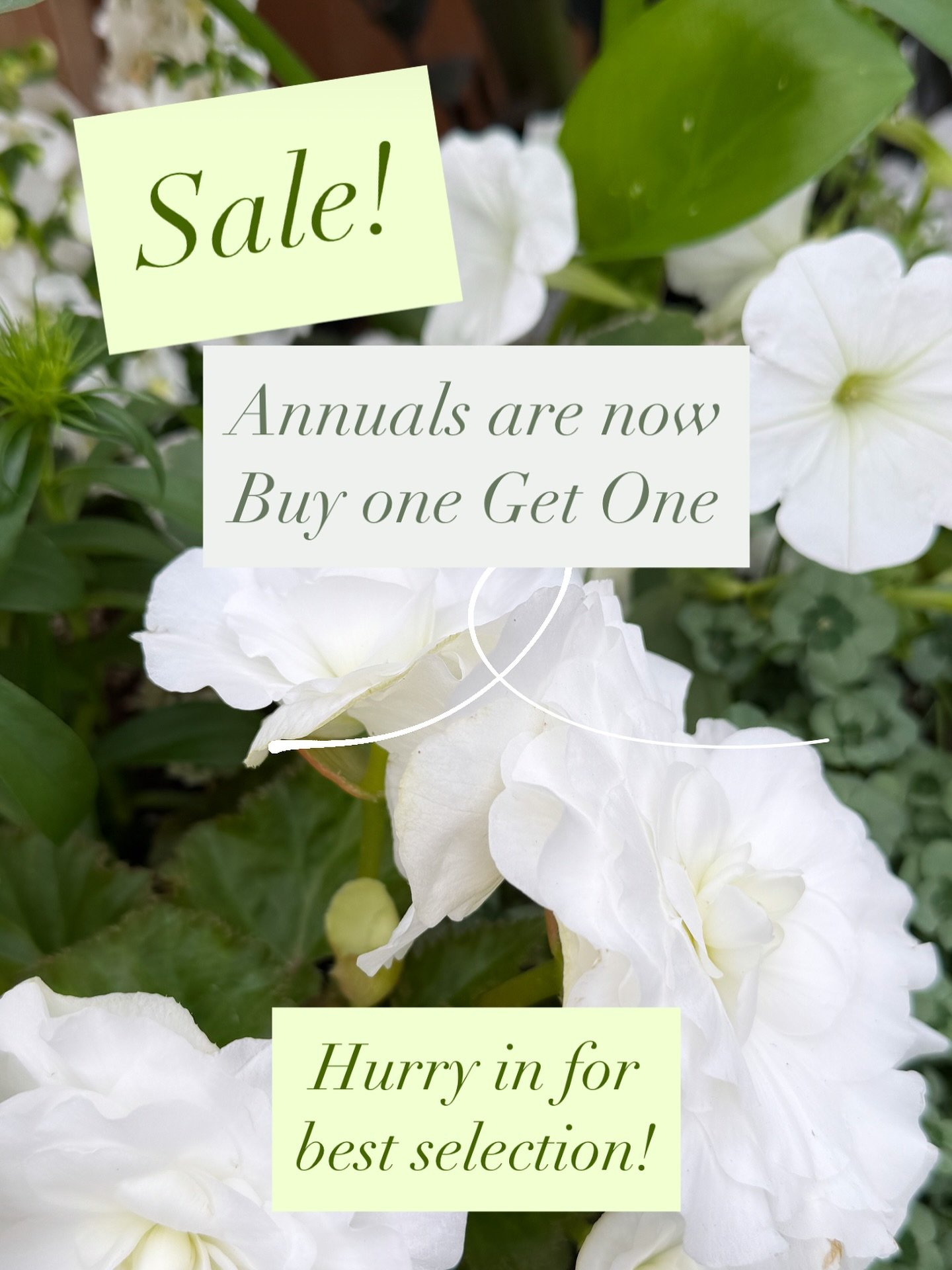 As a thank you to our amazing customers we are starting our Buy one Get One annual sale! 

Hurry in for best selection! 

Some exclusions apply *