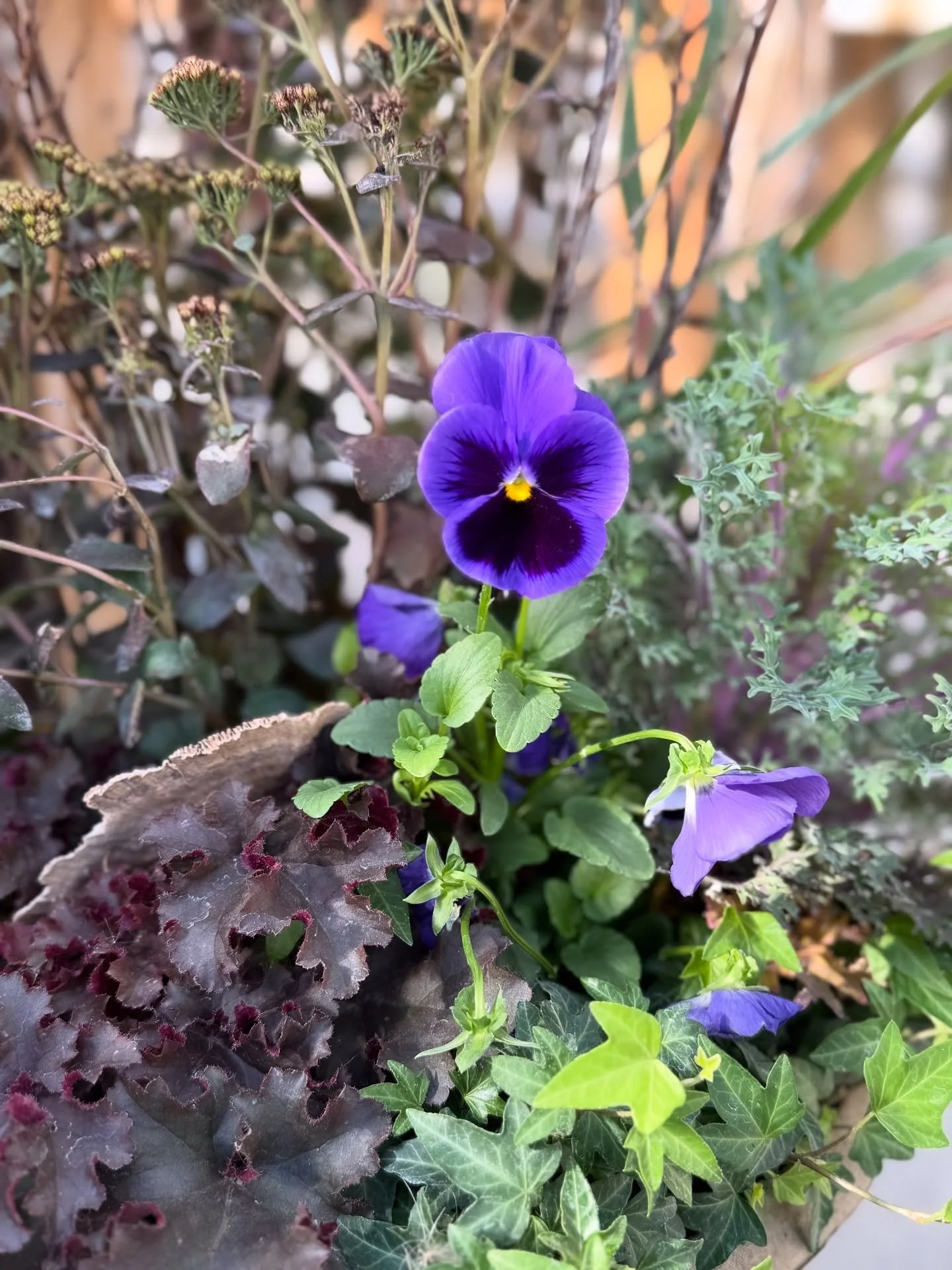 We are now closed for the season!! ✌🏻 
Thank you to everyone that came in! I appreciate it so much! And loved seeing everyone&rsquo;s pretty porches! 

Christmas Decor is on the way! 
&amp; Fresh Christmas trees are ordered! 🎄 

See you mid Novembe