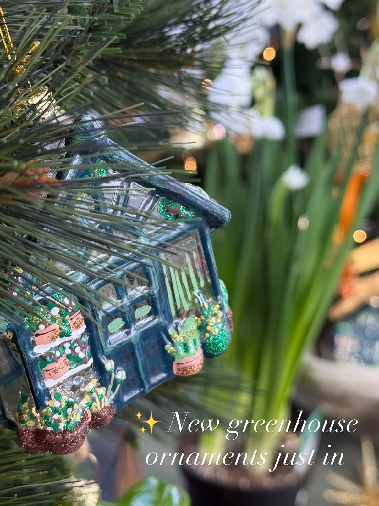 It&rsquo;s a beautiful ☀️ day in the greenhouse! 

Open 9:30-5:30 Monday - Saturday

Thank you for shopping local! 🛍️