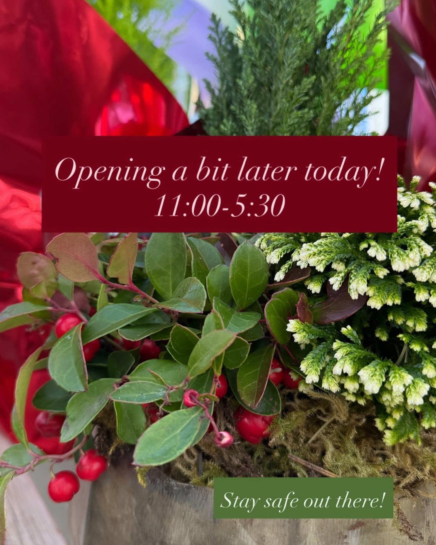 This winter weather is crazy 🤪 

We&rsquo;ll be opening a bit later to do some proper snow clearing! 

11:00 - 5:30

Stay safe out there!