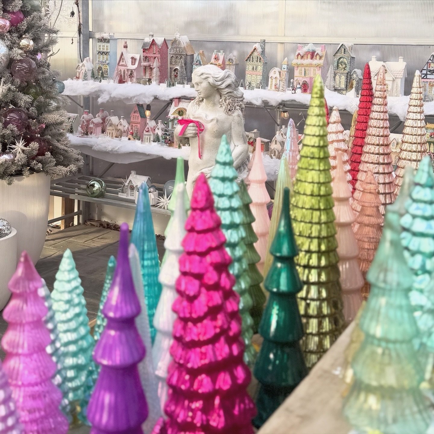 ✨ We know you&rsquo;ve been waiting for this! ✨ 

Our &lsquo;That&rsquo;s a Wrap&rsquo; end of season sale starts today (12/29)! 🎁 

That&rsquo;s a Wrap Sale:

50% off holiday ornaments, gift wrap 🎁 

50% off all fresh greenery, garlands

50% off a