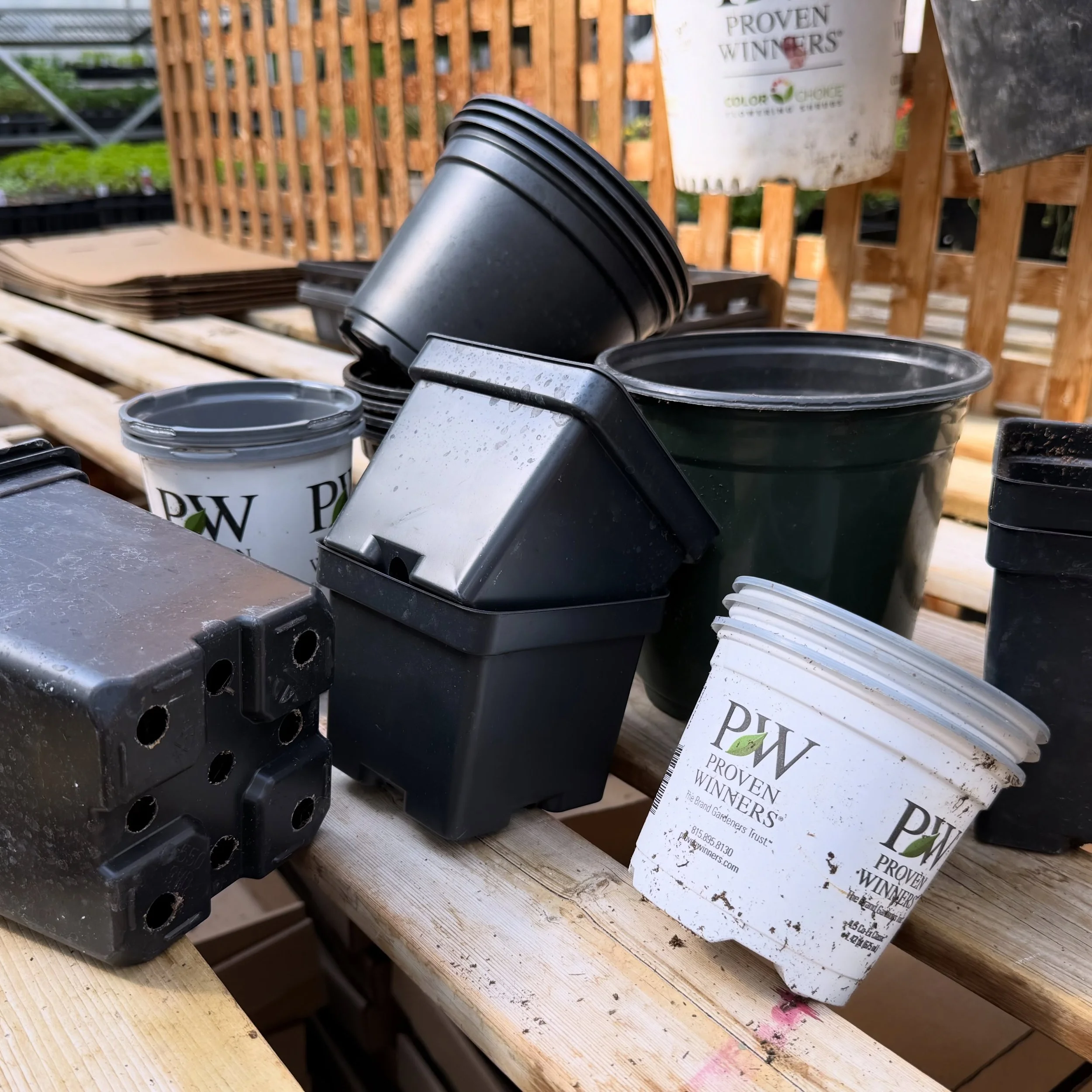 POTS

We&rsquo;ve been getting an influx of pots coming back, and yes we can reuse them so thank you! But&hellip;we can only reuse the pots we have above. Everything else you bring us just ends up in our recycling, so please feel free to recycle thos