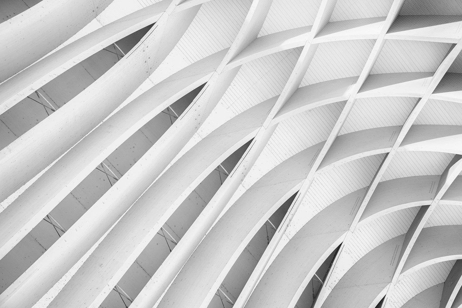 Strategies Overview — Trellis Capital Partners