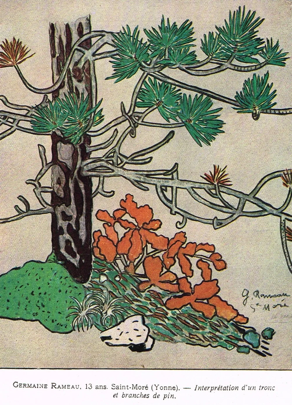 Dessin d'élève réalisé selon la méthode Helguy, Germaine Rameau, pins