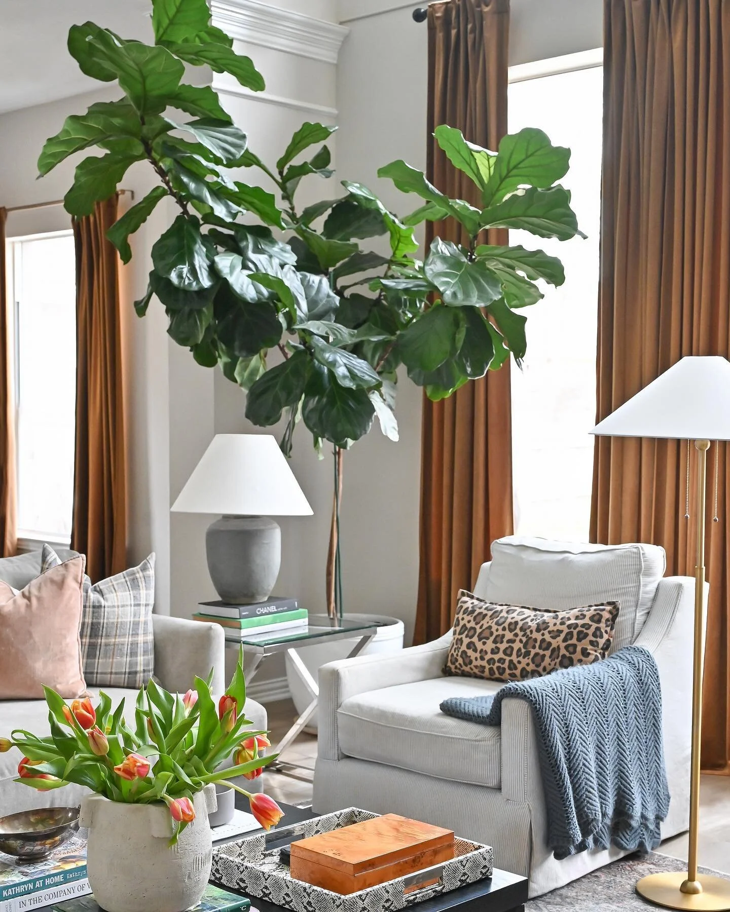 What fiddle leaf fig dreams are made of 🤩 
photo by @frenchbluephotography 
#arterdesignco #interiors #design #interiordesign #fiddleleaffig #houstondesigner
