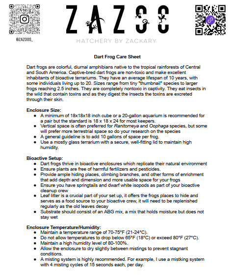 Dart Frog Care Sheet - Generic