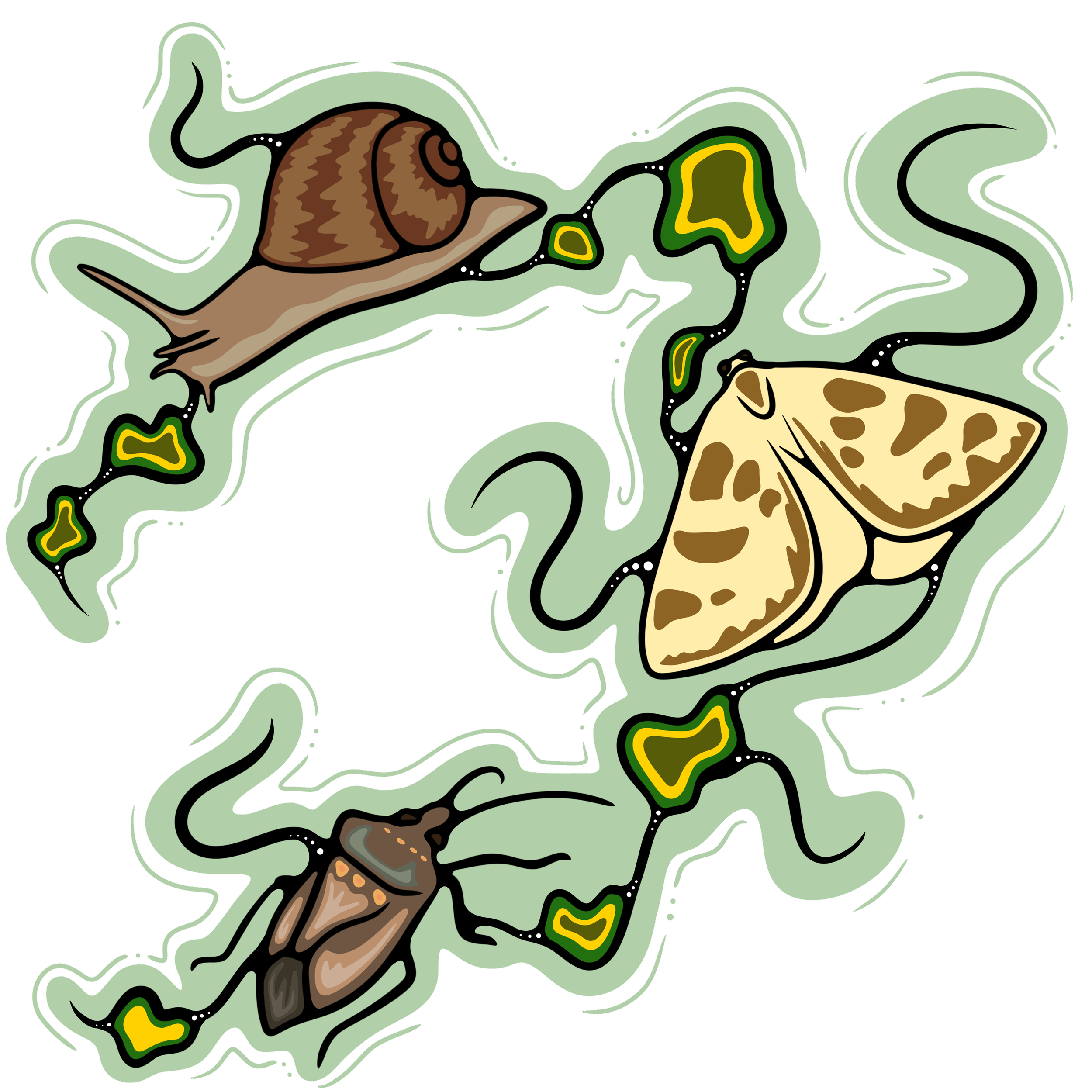 Forest Landscape Planning: East and West Kootenays