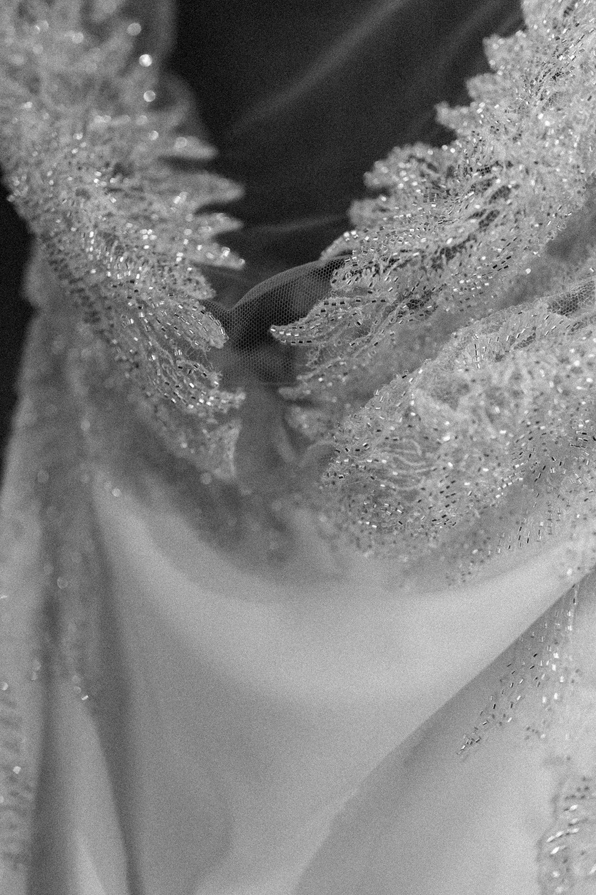 151A5752.jpg