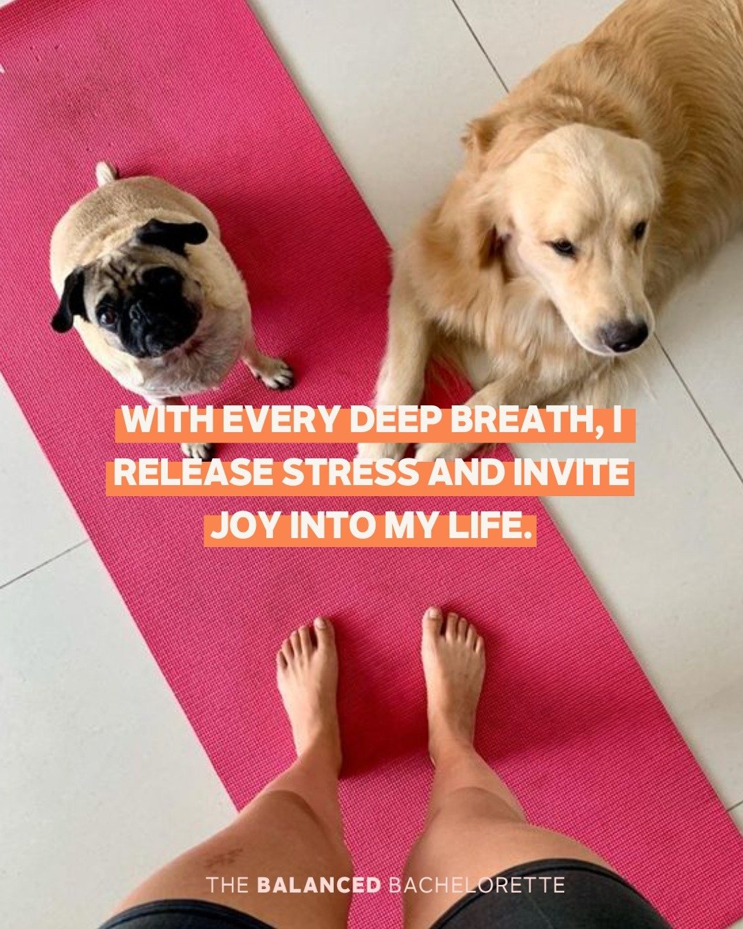 Affirmations we're taking into the week to ground us in gratitude, peace, and presence. 🌱 Practicing these little reminders can set the tone for a calm and focused week ahead&mdash;because a mindful heart brings magic to every moment. 🩷💫

#mondaya
