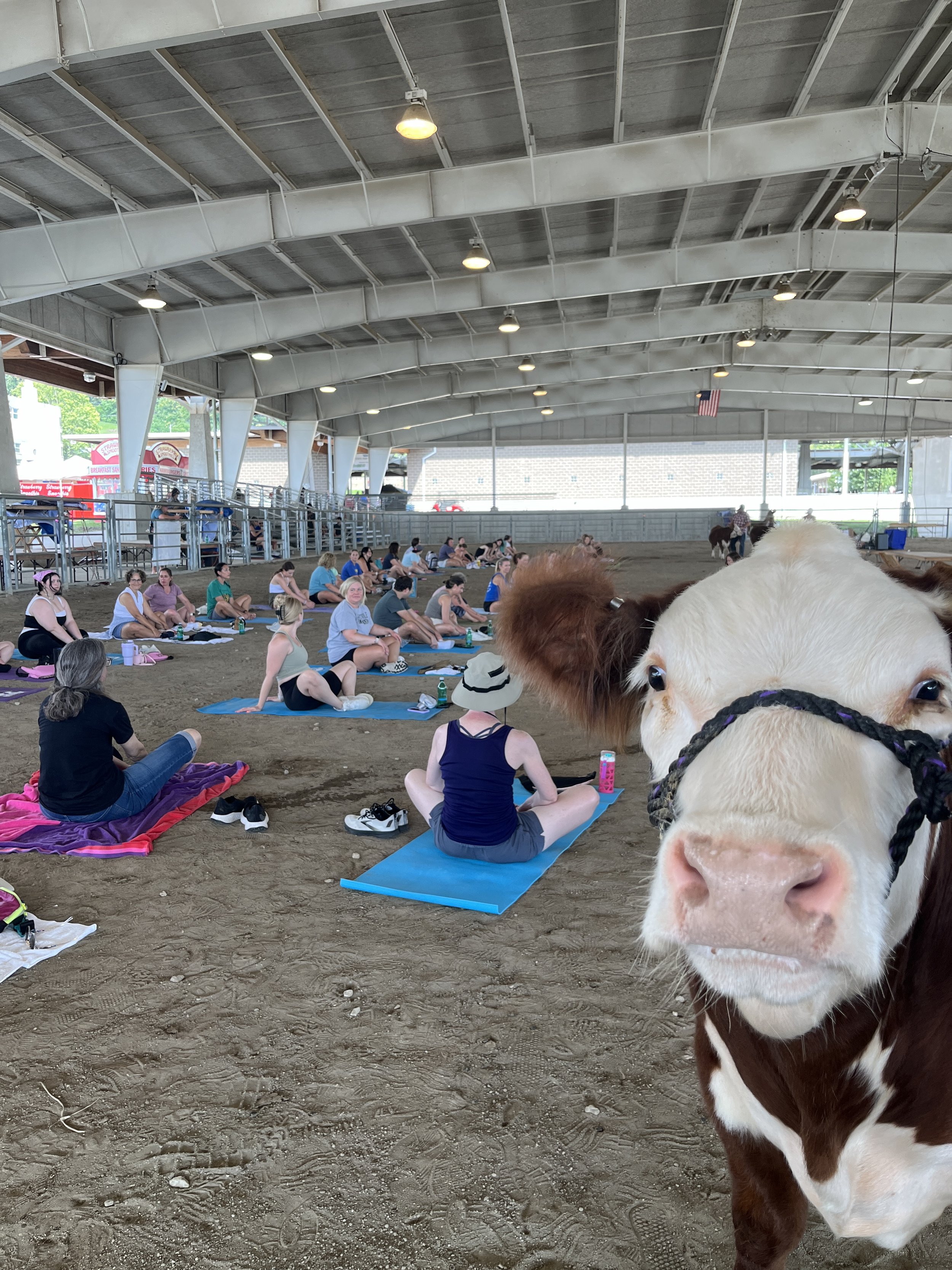 2024 Fair Yoga 6.JPG