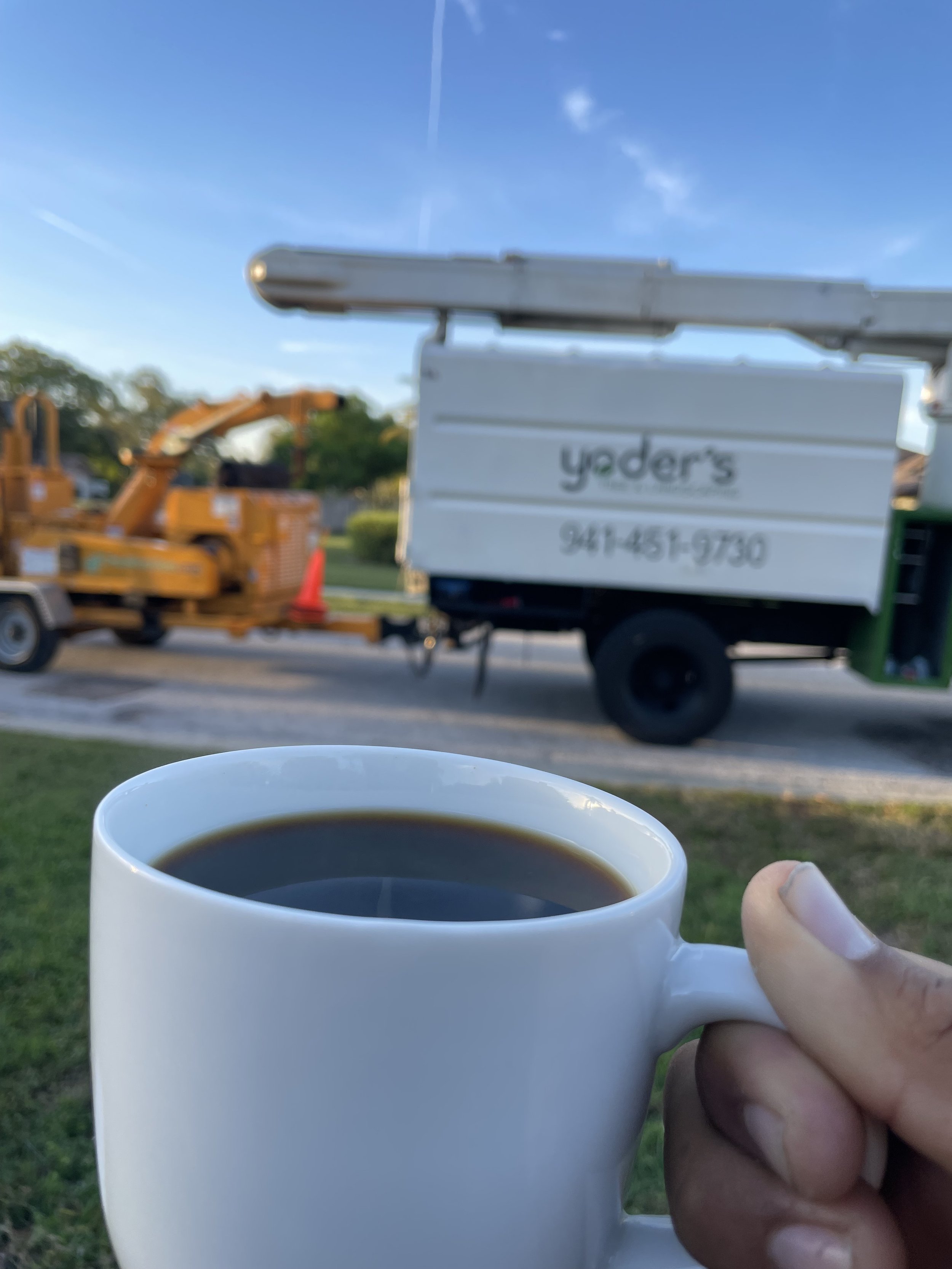 The Art and Science of Tree Work