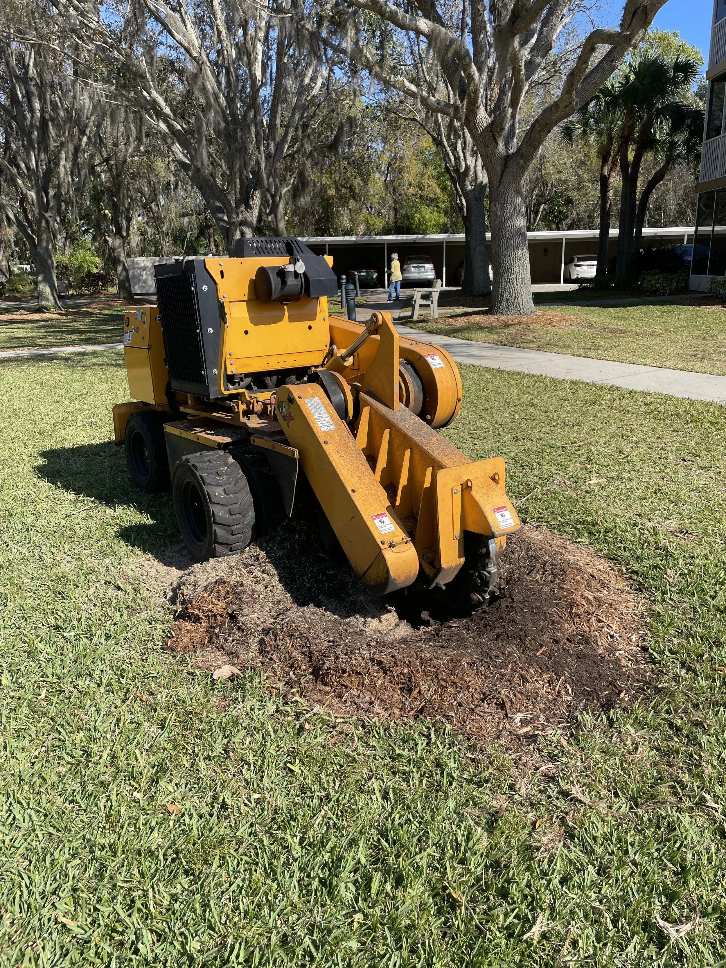 Unlocking the Hidden Value of Stump Grinding
