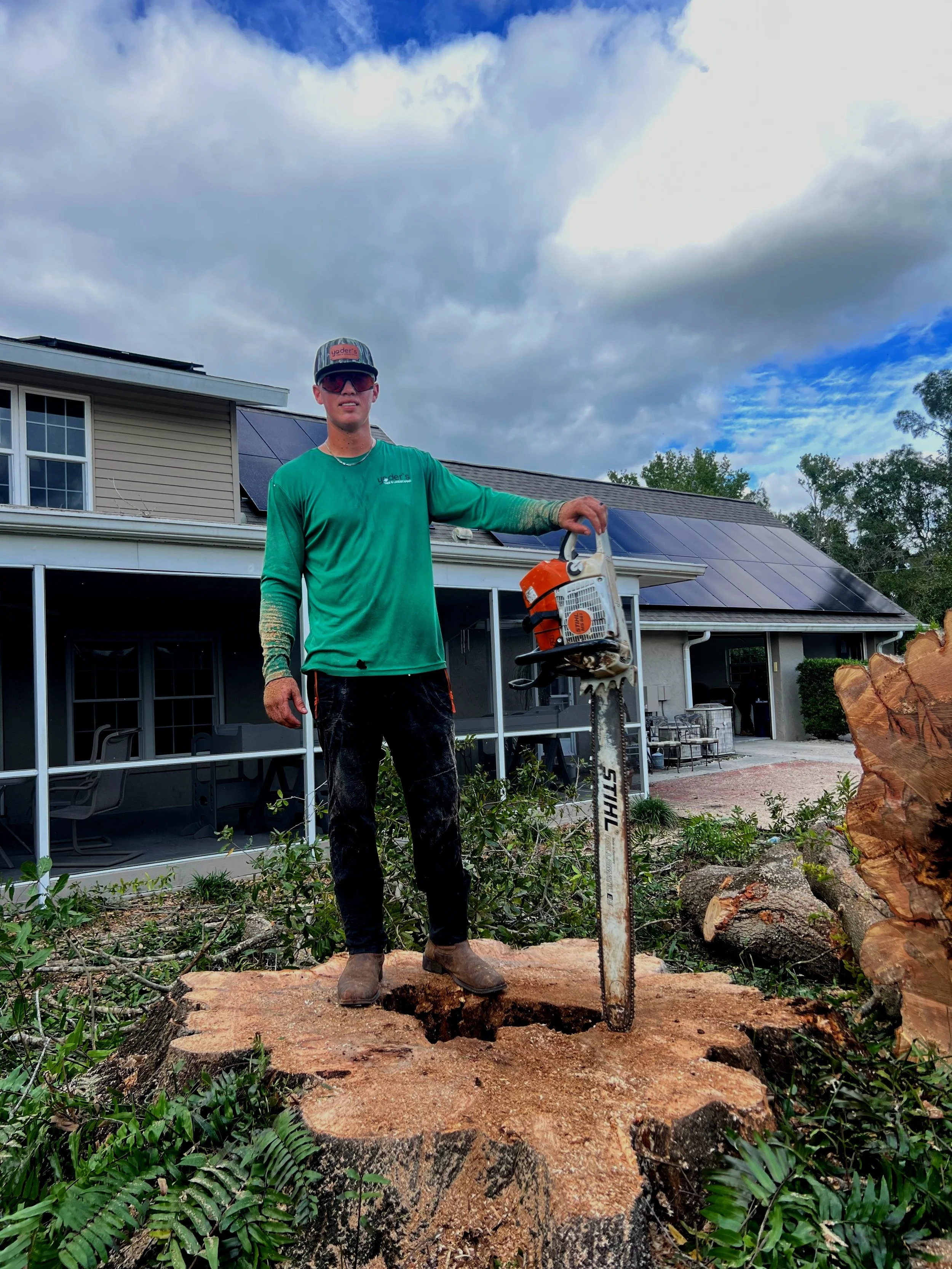 Who we are — Tree Service Sarasota, Bradenton, and Venice FL