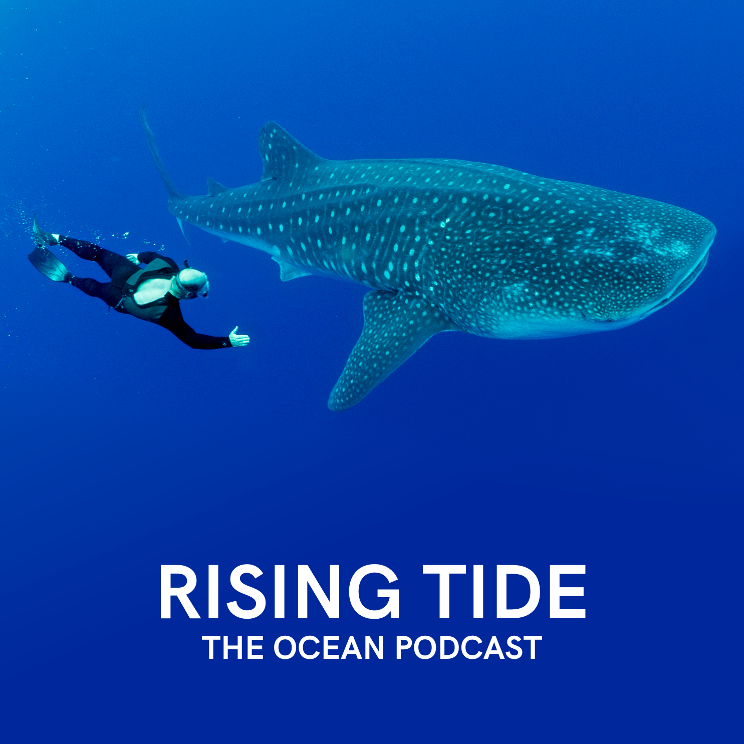 Tides of Change: Unpacking Ocean Policy with George Leonard