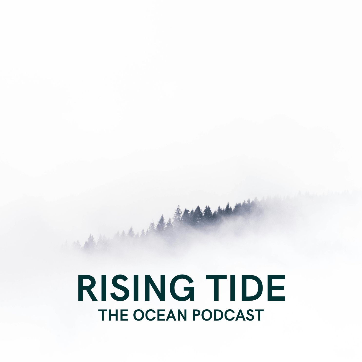 Reviving the River: Amy Bowers Cordalis on Healing the Klamath—and Ourselves