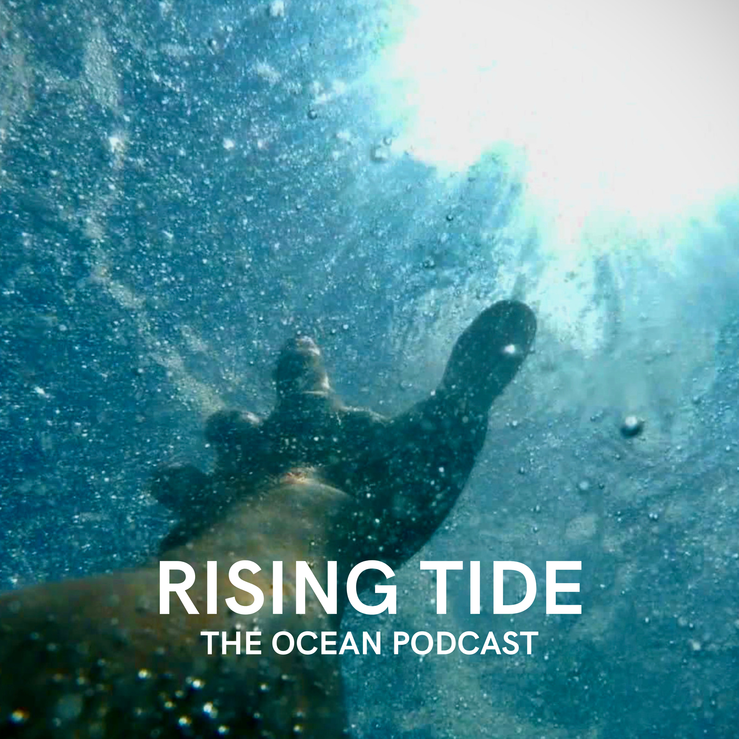 Fatal Watch: Uncovering the Truth Behind Ocean Observer Murders