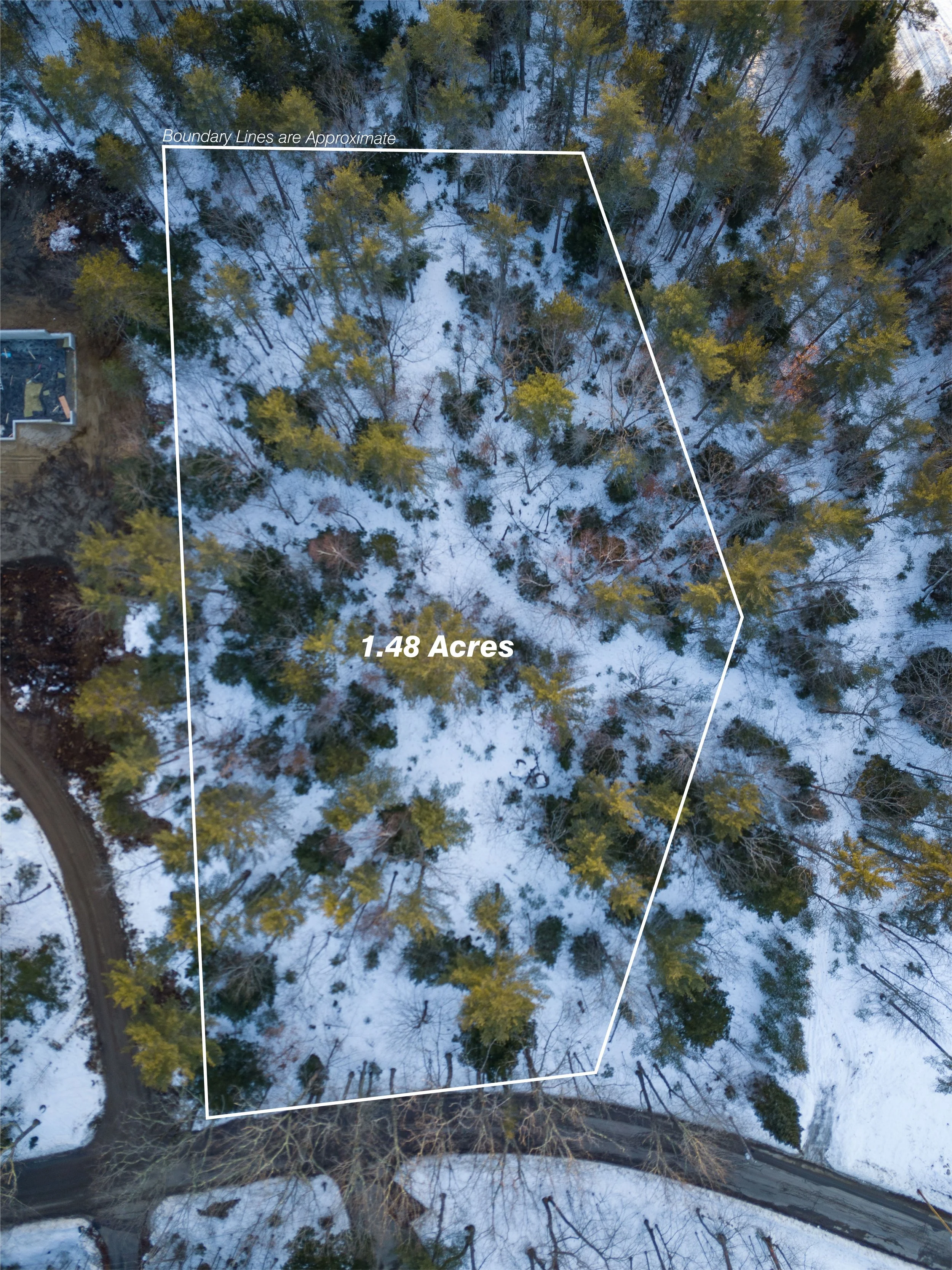 Lot Lines Doc-01.jpg