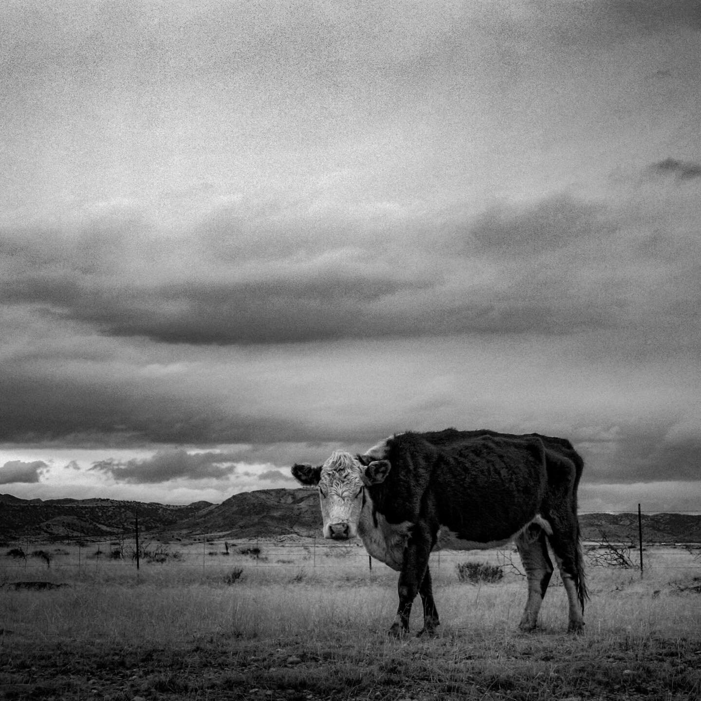 We met in Southern AZ, just over the state line from NM.