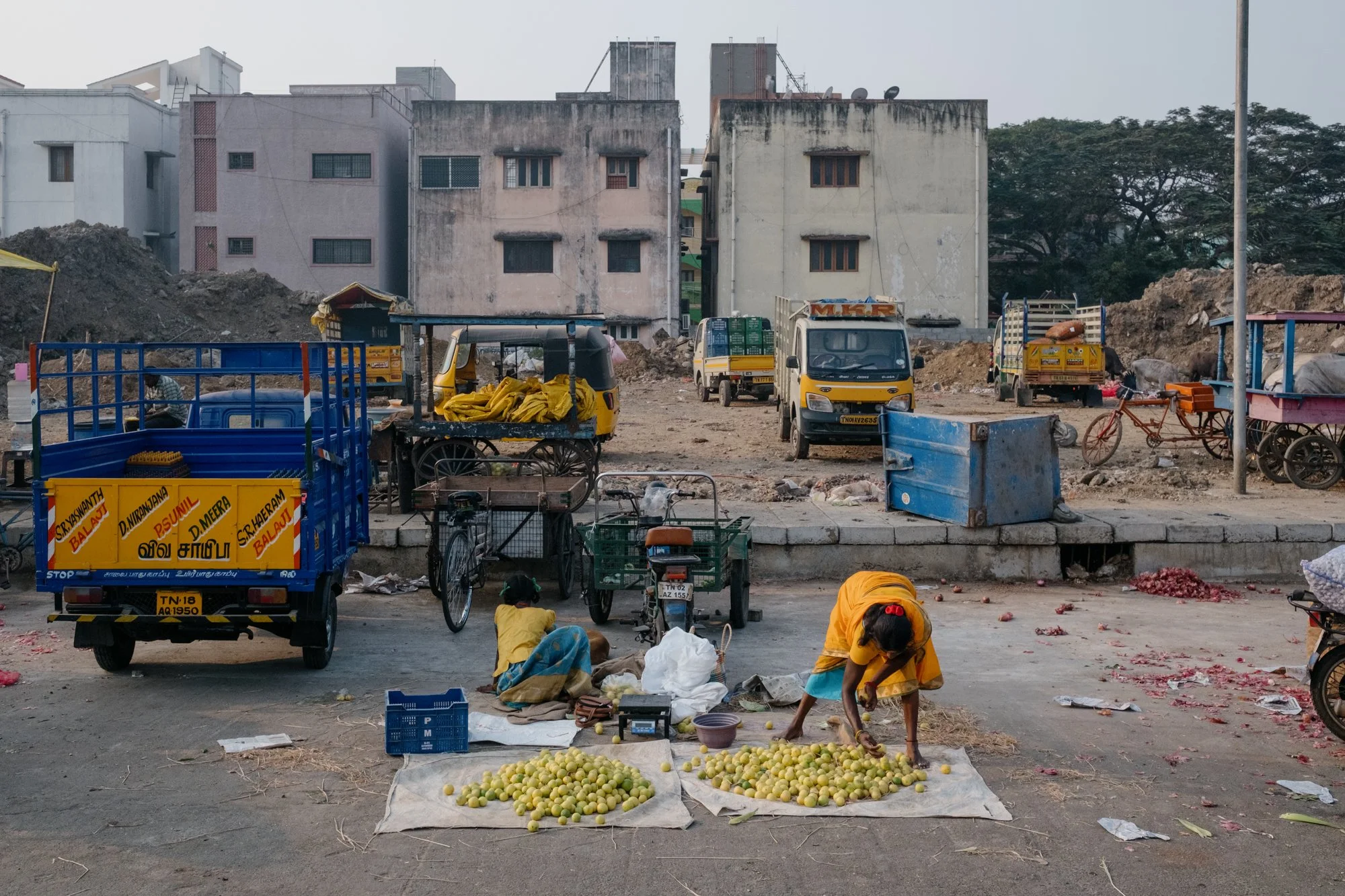India_26_5Stars-13.jpg