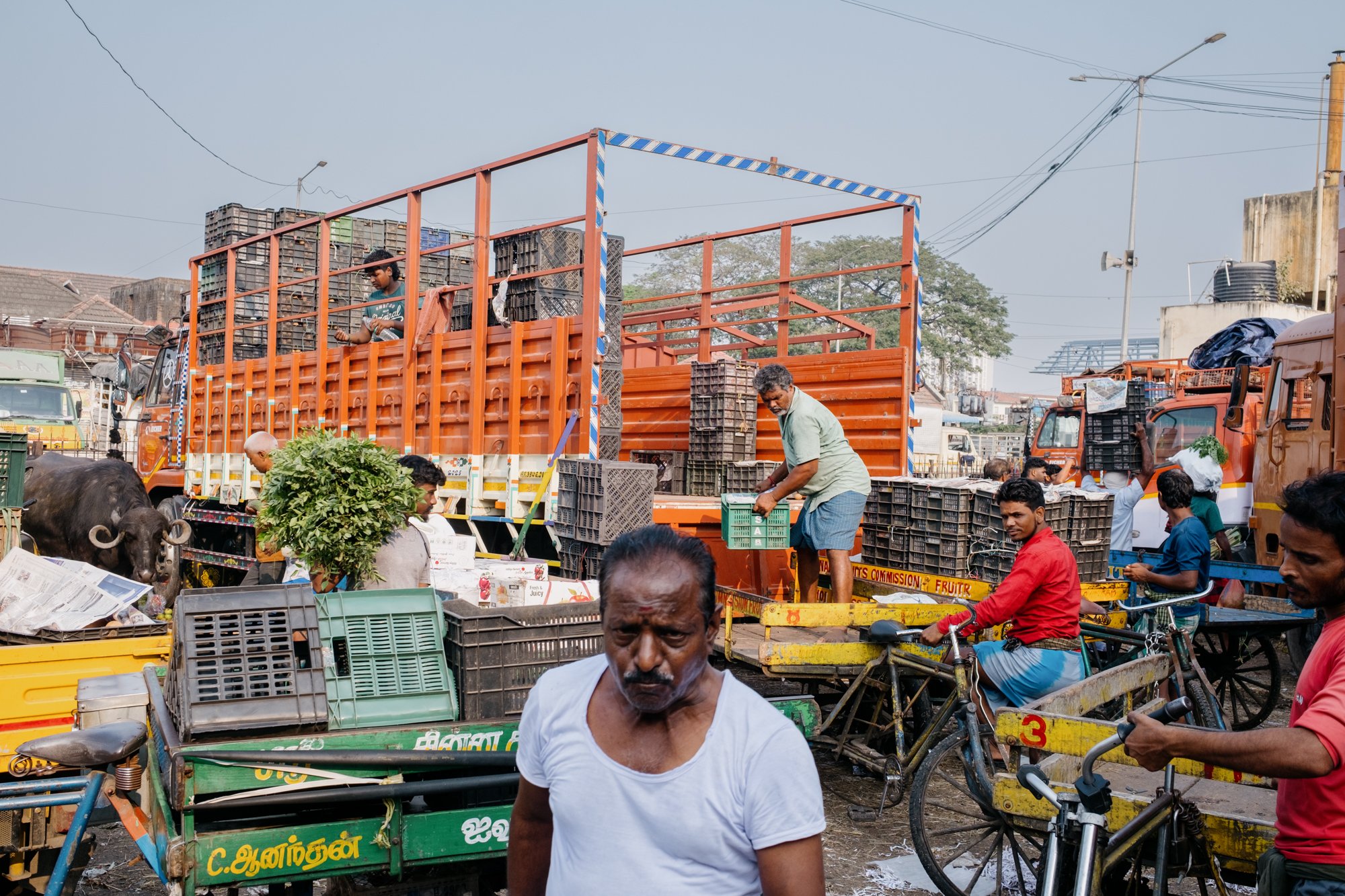 India_26_5Stars-03.jpg