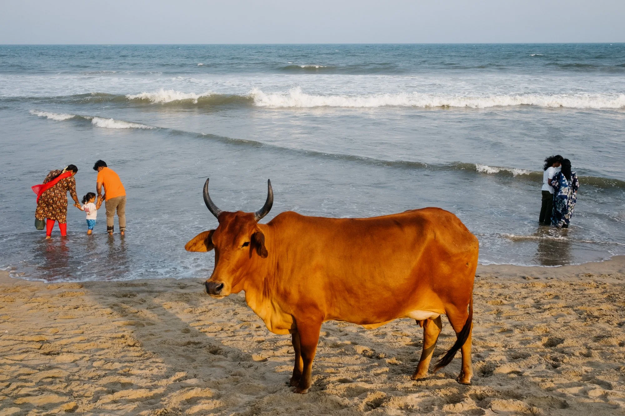 India_26_5Stars-45.jpg