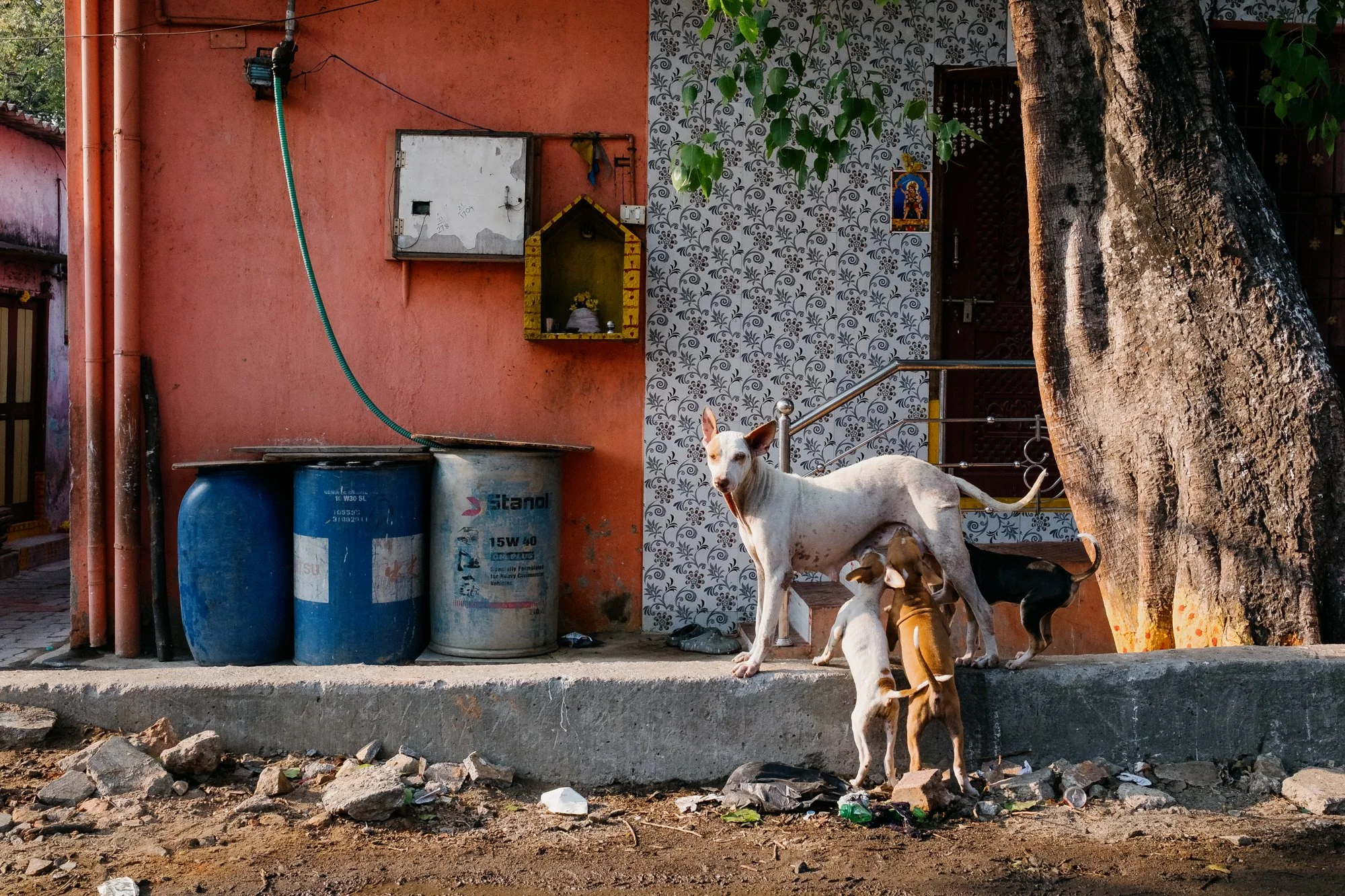 India_26_5Stars-57.jpg