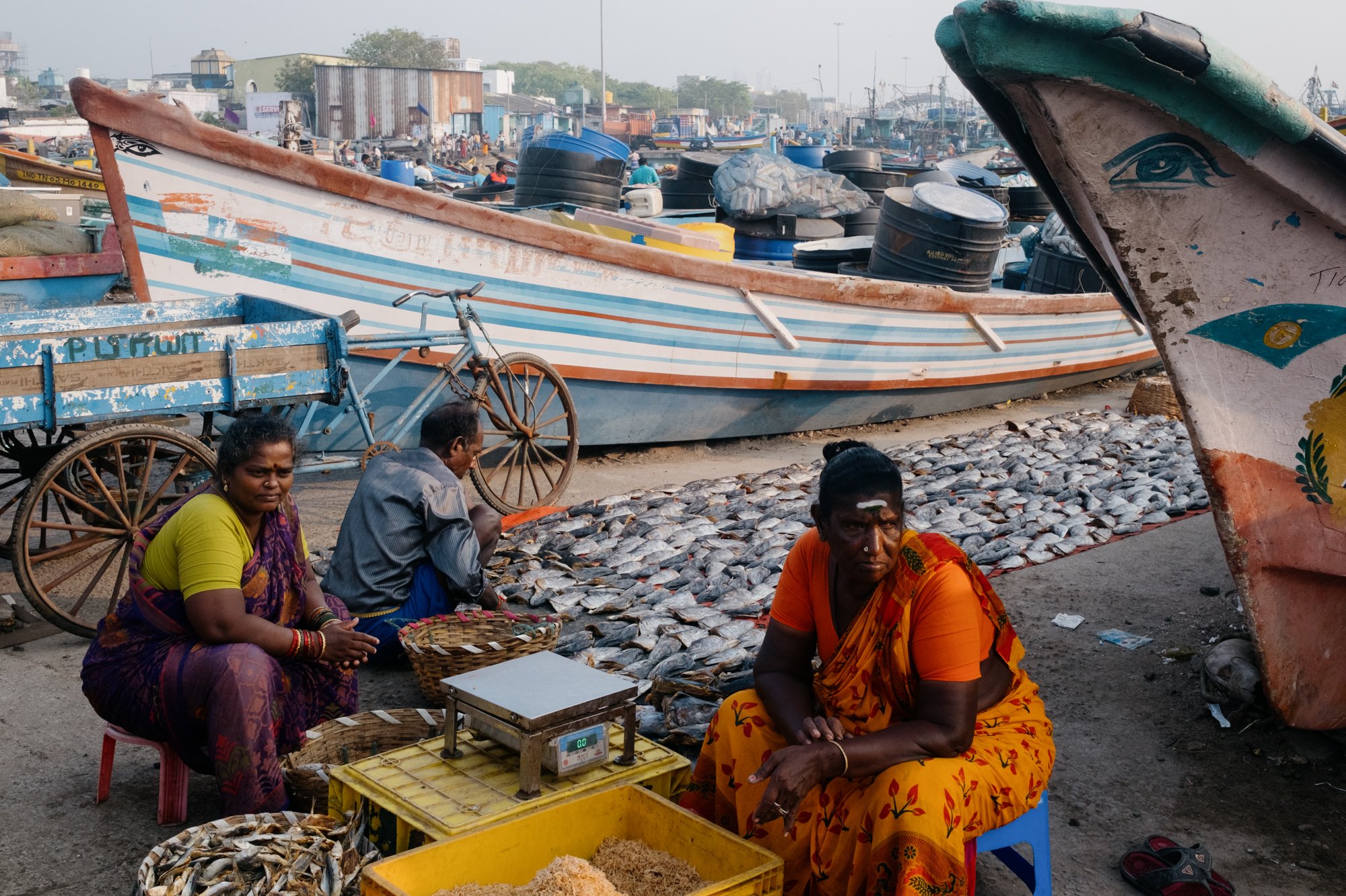 India_26_5Stars-25.jpg