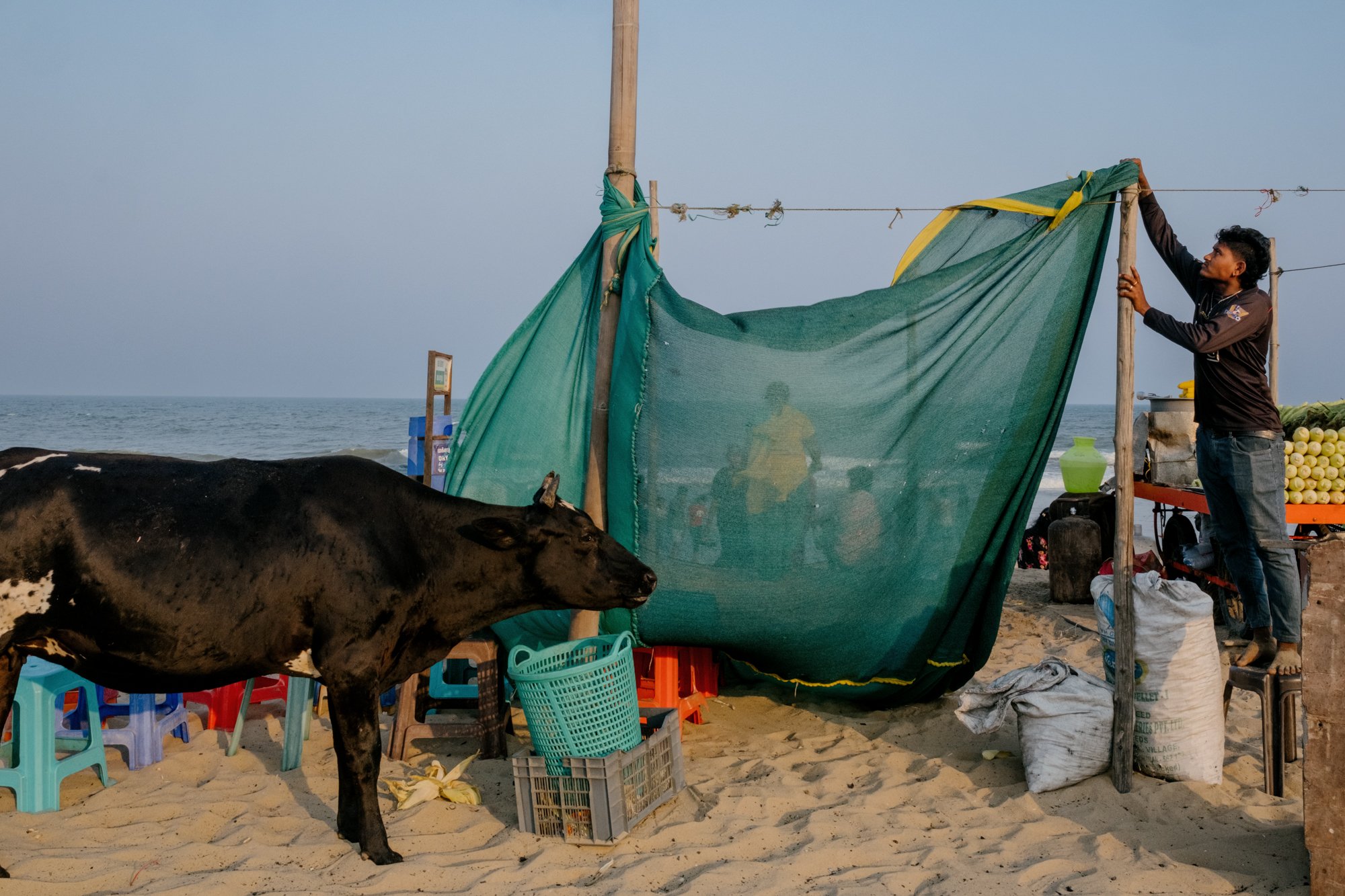 India_26_5Stars-46.jpg