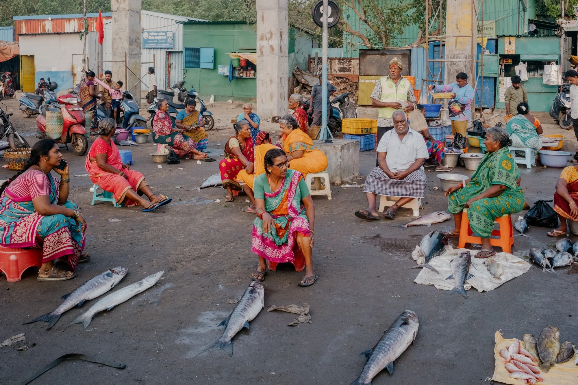 India_26_5Stars-20.jpg