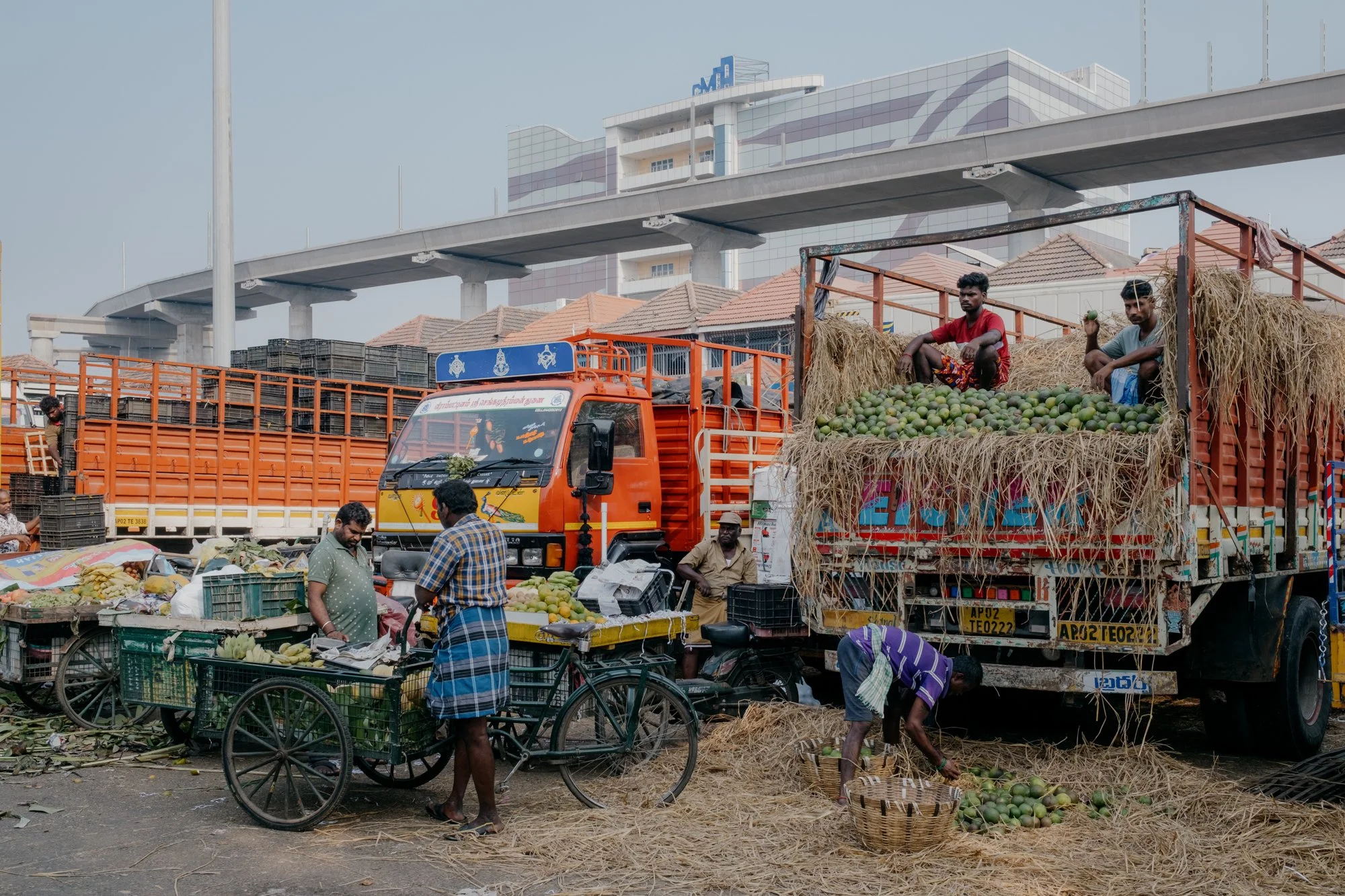 India_26_5Stars-06.jpg