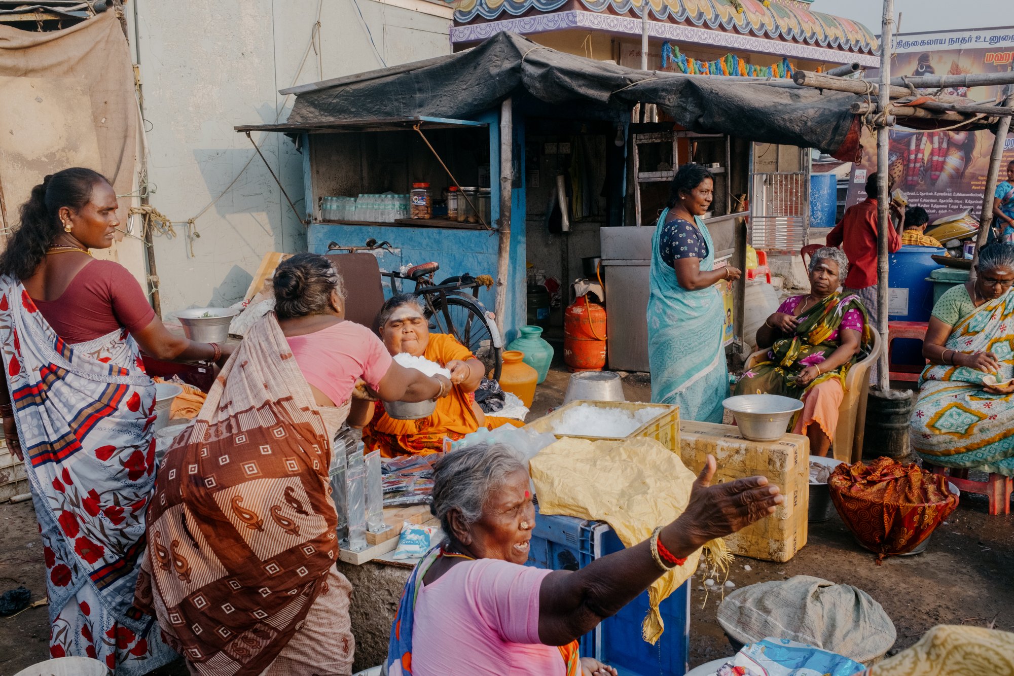 India_26_5Stars-24.jpg