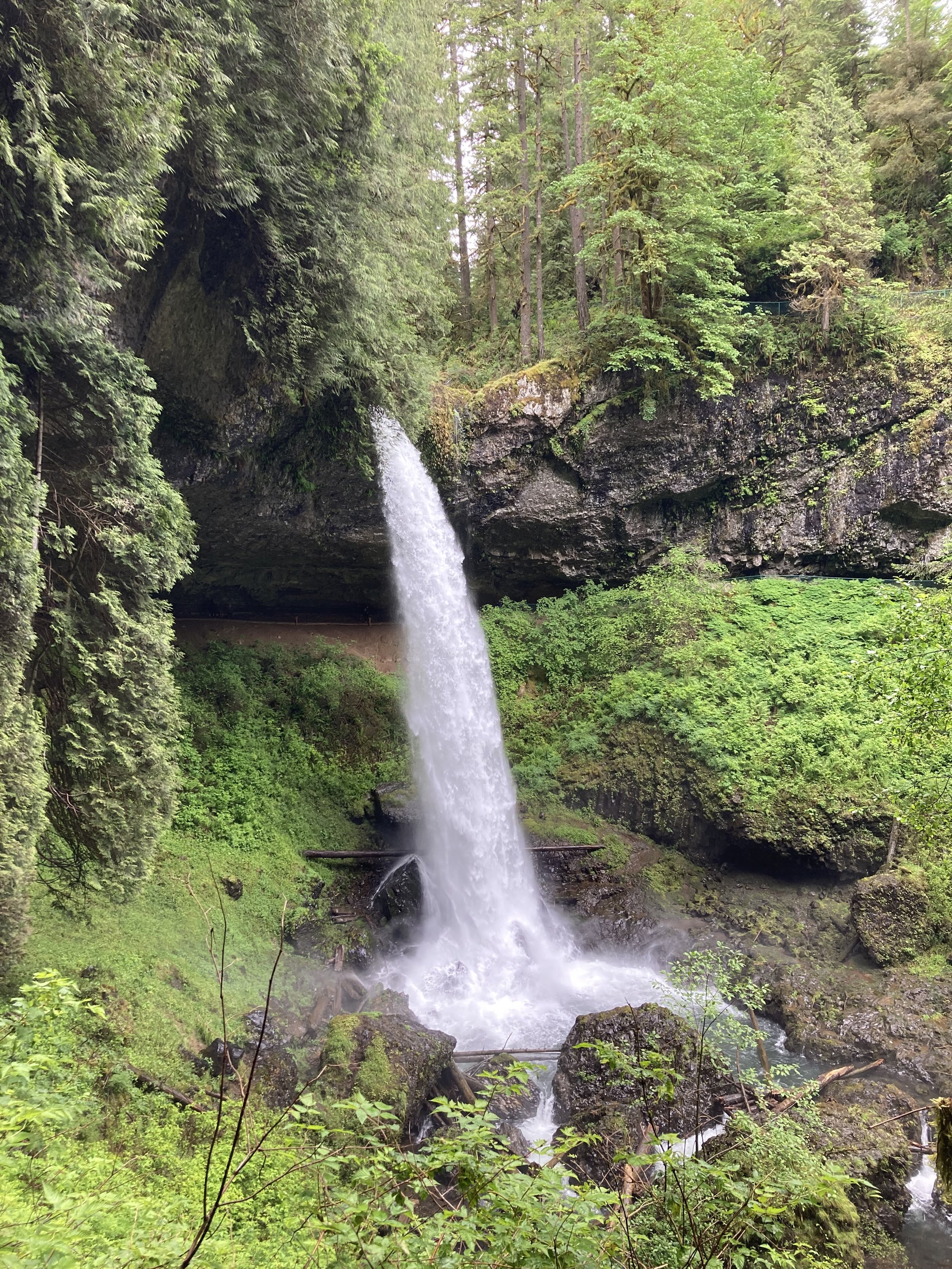 A scenic view of a waterfall cascading down over rocks in a lush green forest with tall trees surrounding the area.