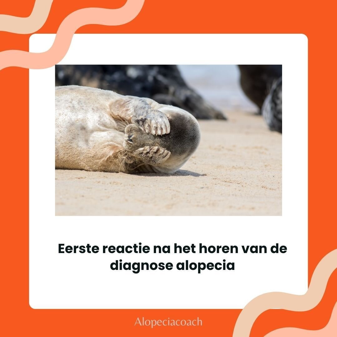 🥳Maandag memedag🥳 

Herkenbaar? Drop een ❤️ in de comments! 

#alopecia #alopeciacoach #alopeciaproofmindset #haarverlies #alopeciaawareness #haarverliesbijvrouwen #pruik #wig #alopeciaandrogenetica #mentalhealth #hairloss #levenmetalopecia #online