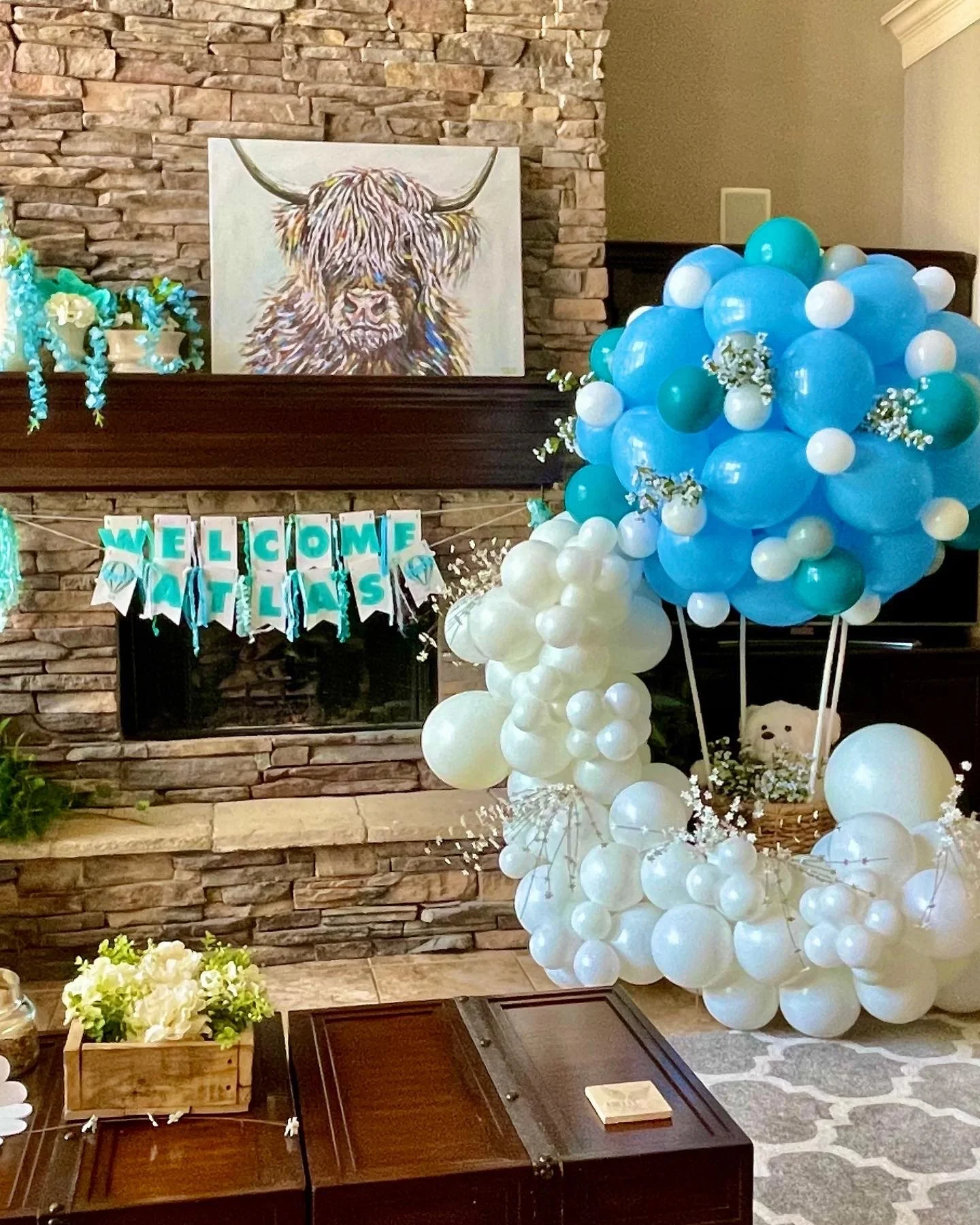 Hot Air Balloon Baby Shower