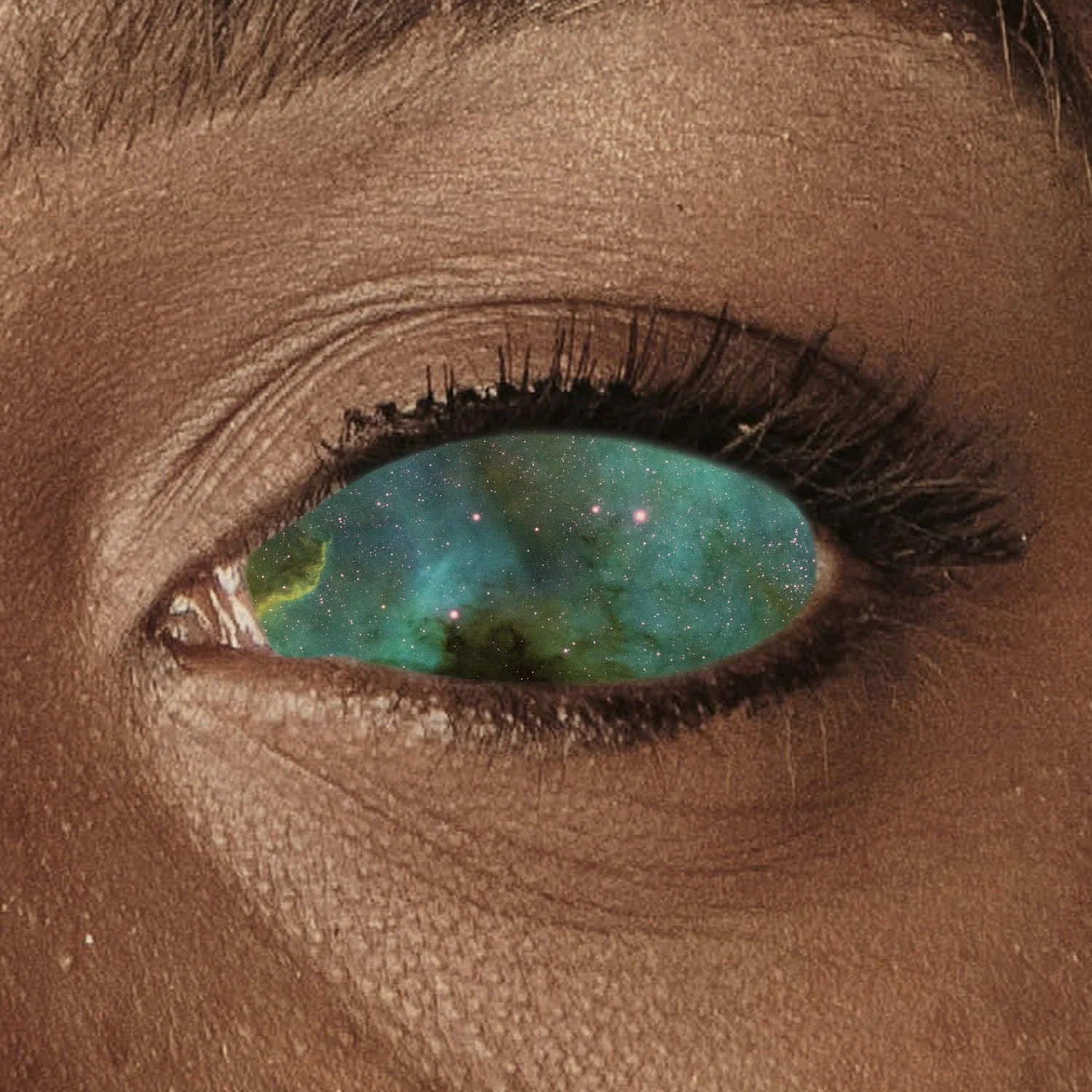 7 things (other than your organs) that you can donate after death